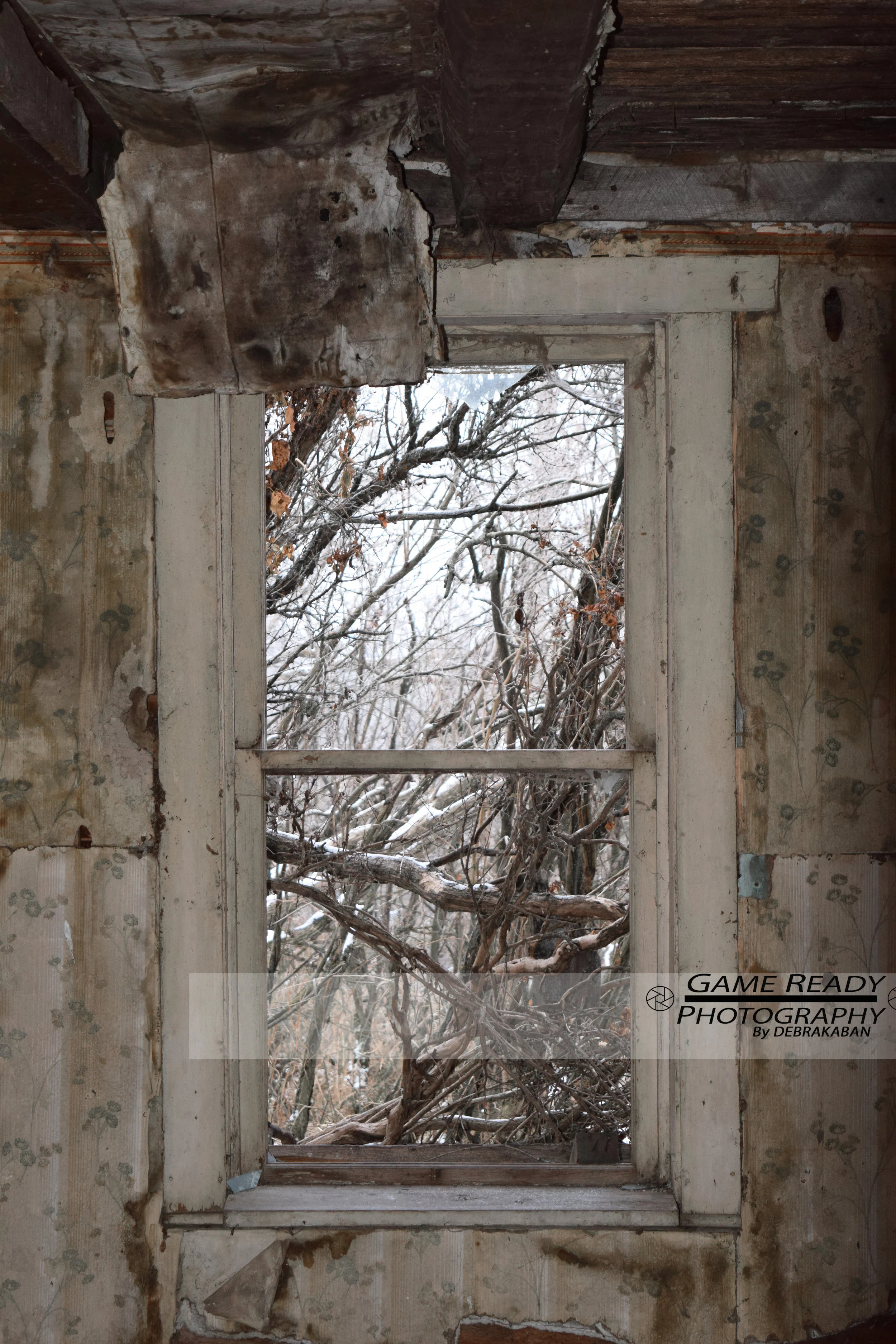 DSC_0259a.jpg
