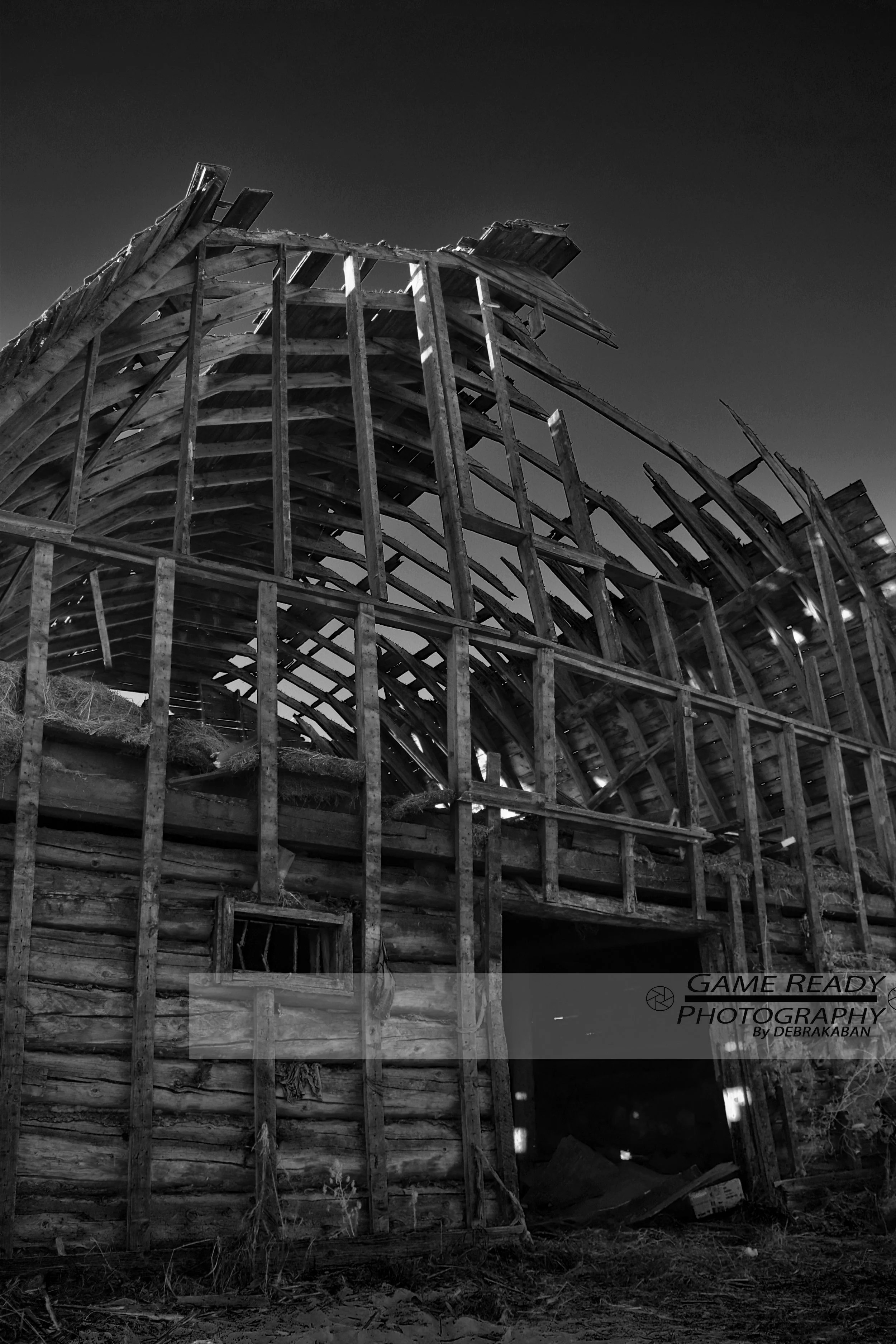 DSC_0400a.jpg
