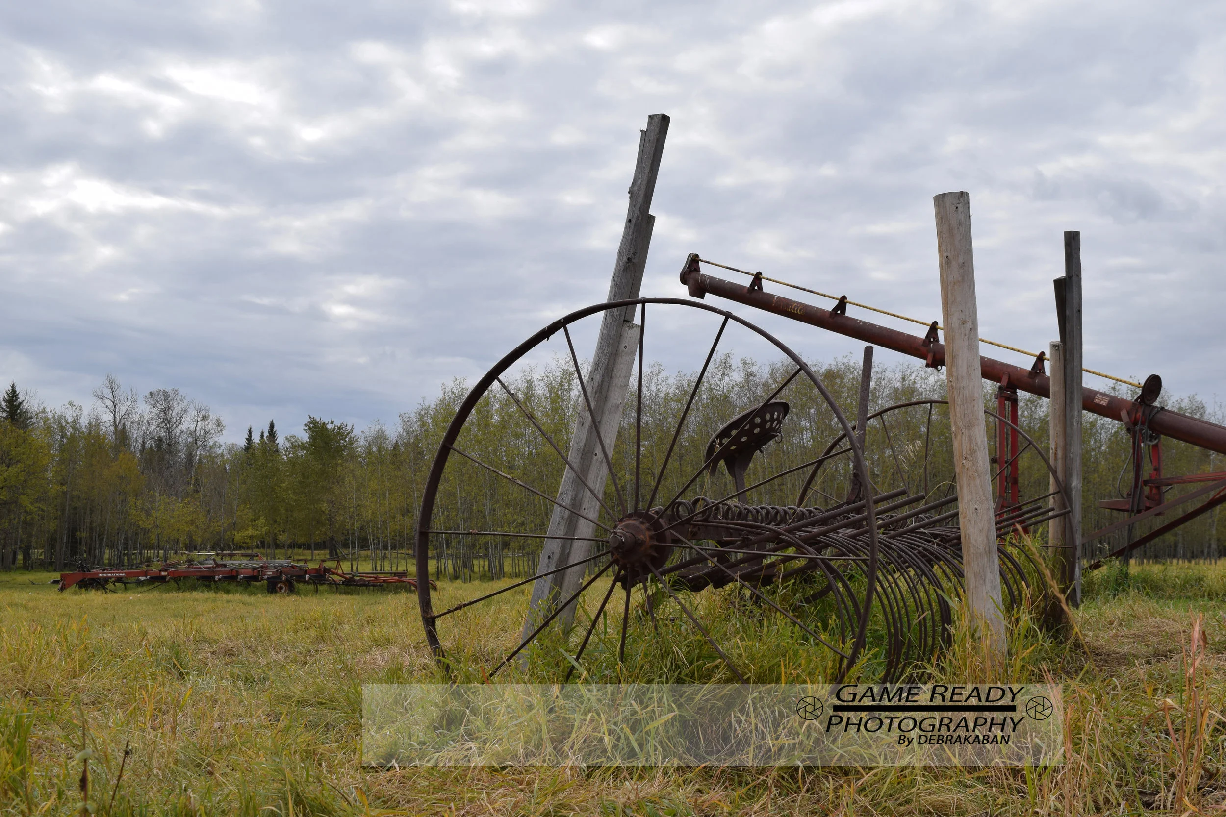 DSC_0752.jpg