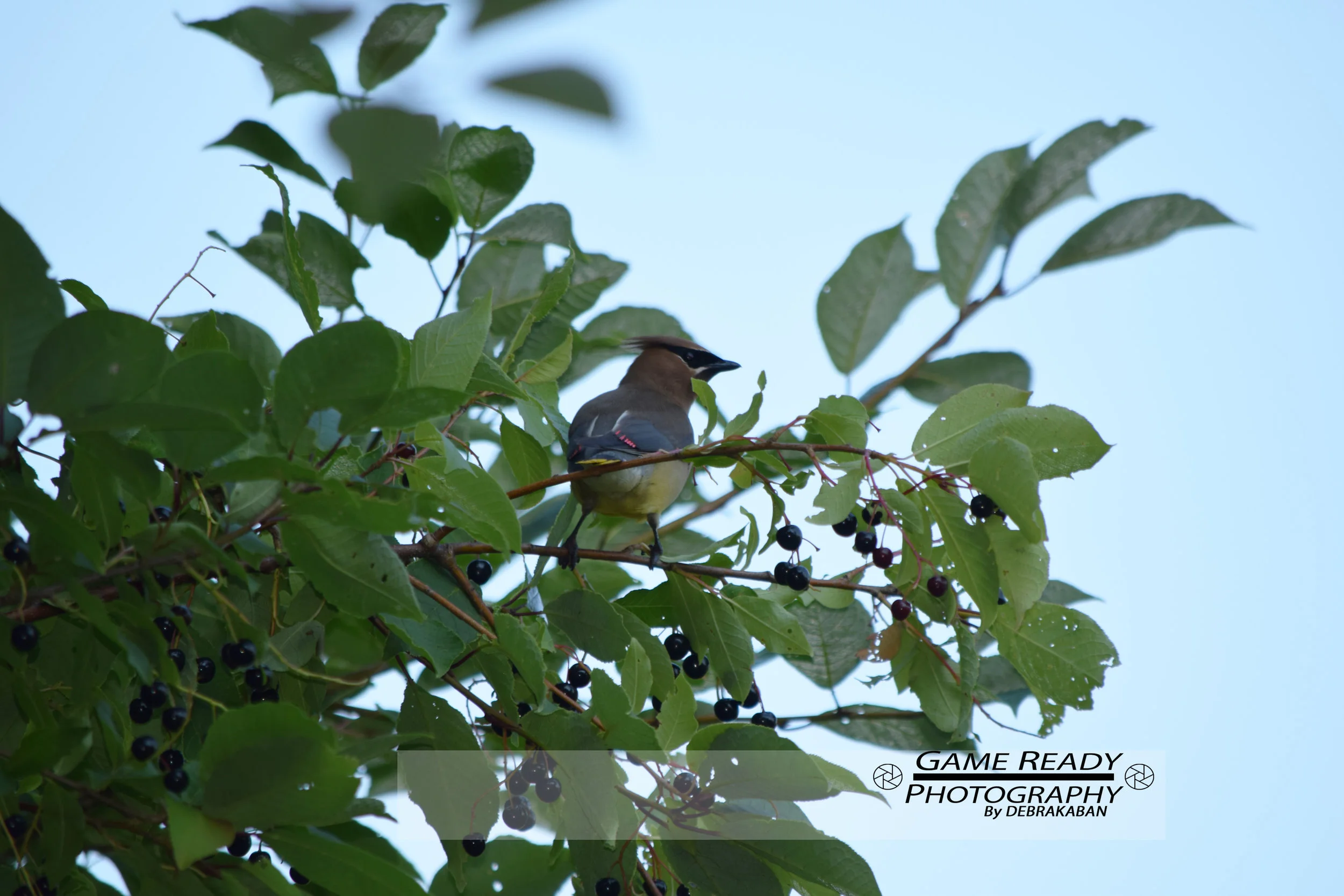 DSC_0760.jpg