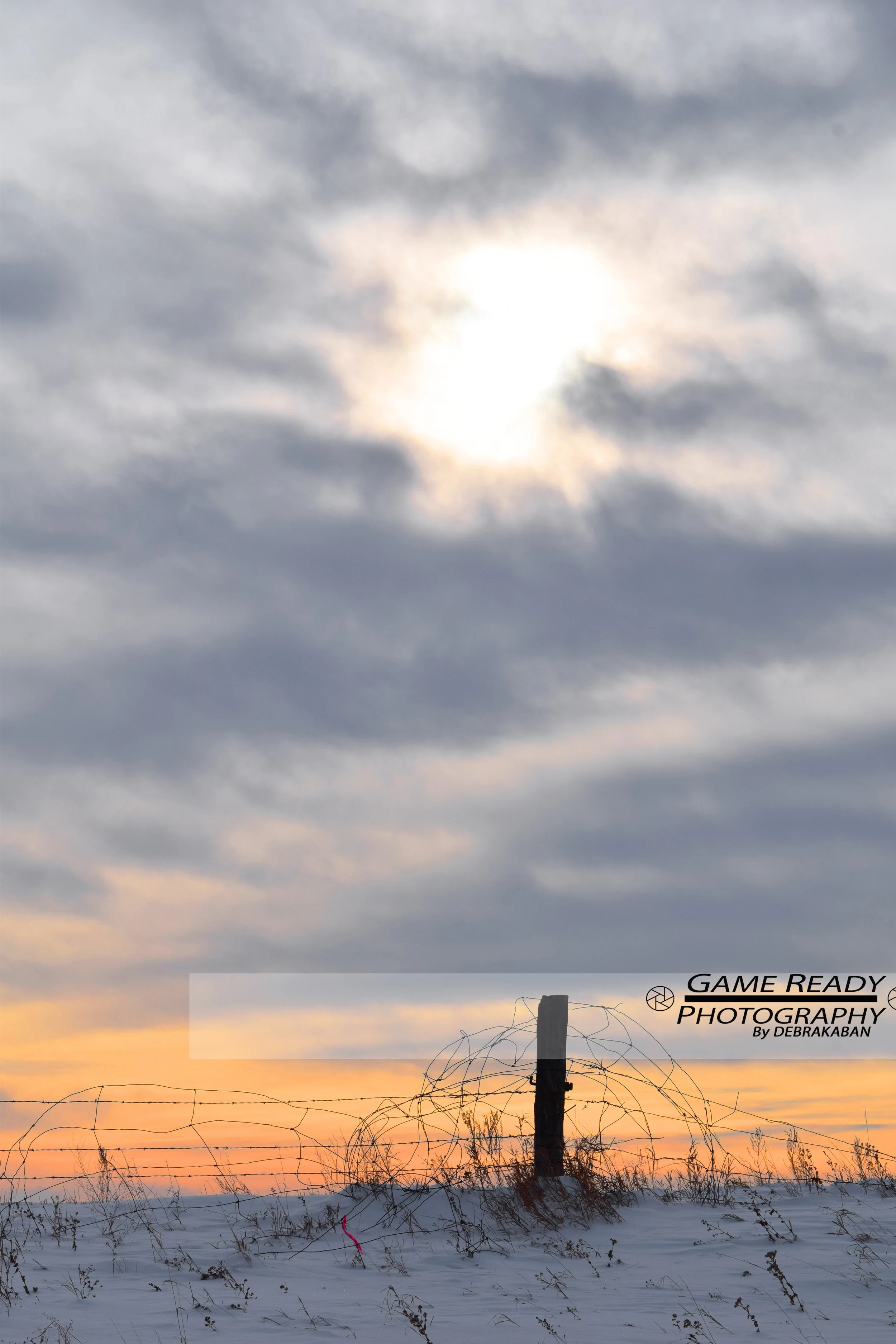 DSC_0760a.jpg