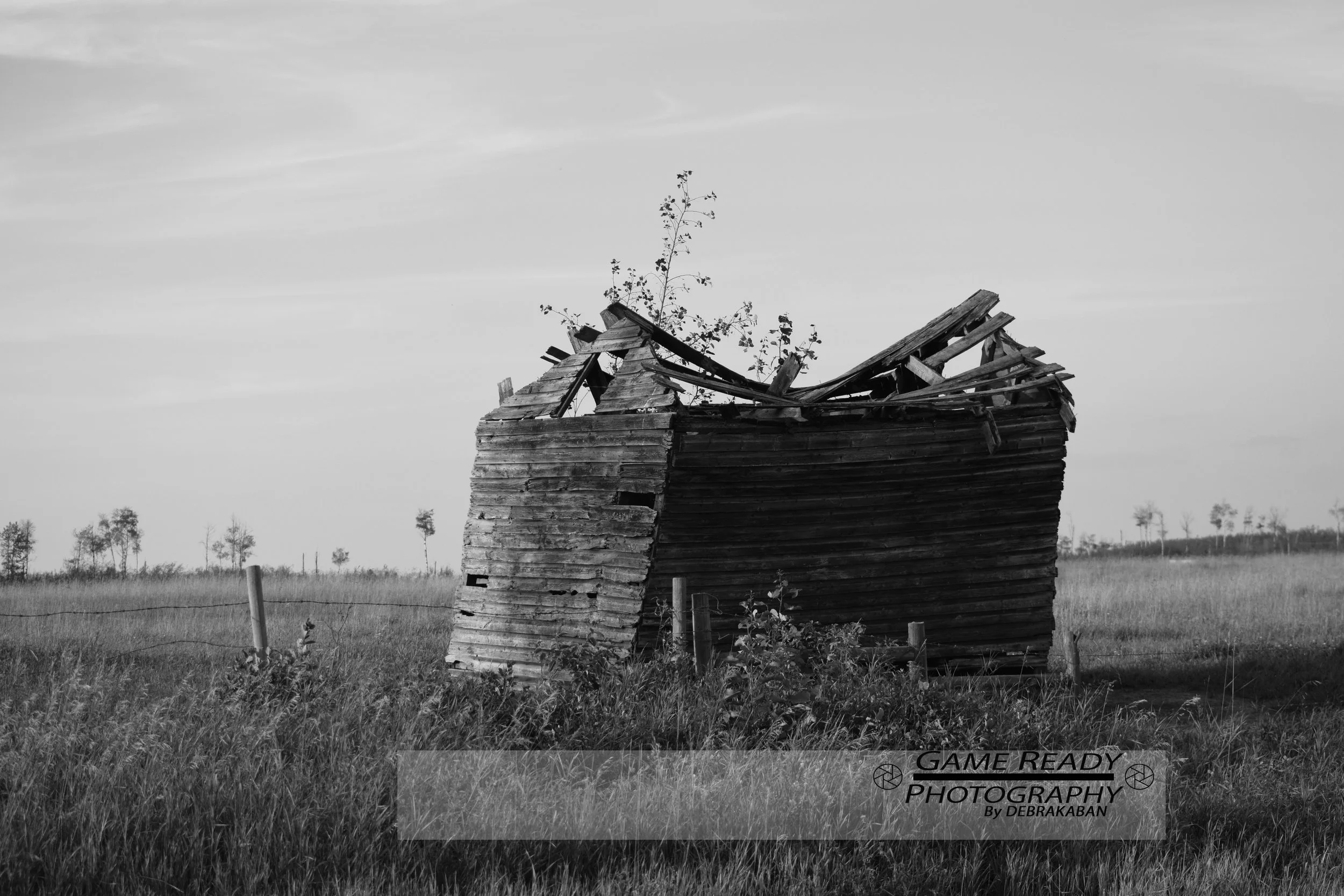 DSC_0882.jpg