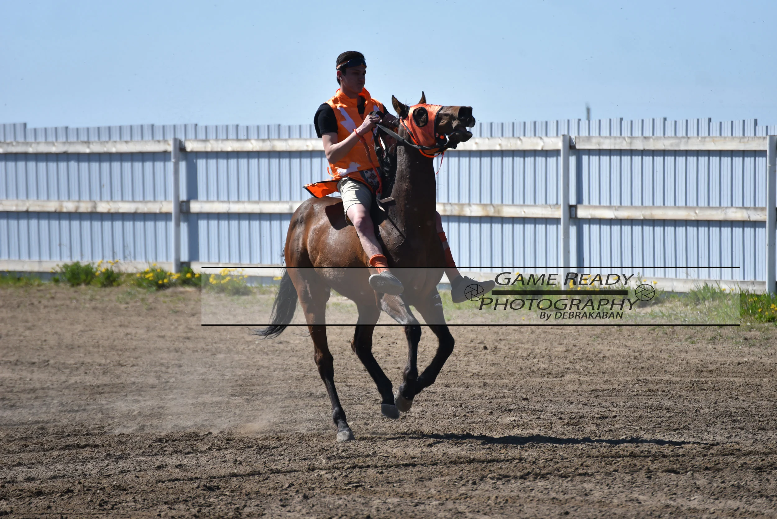 DSC_0948.jpg