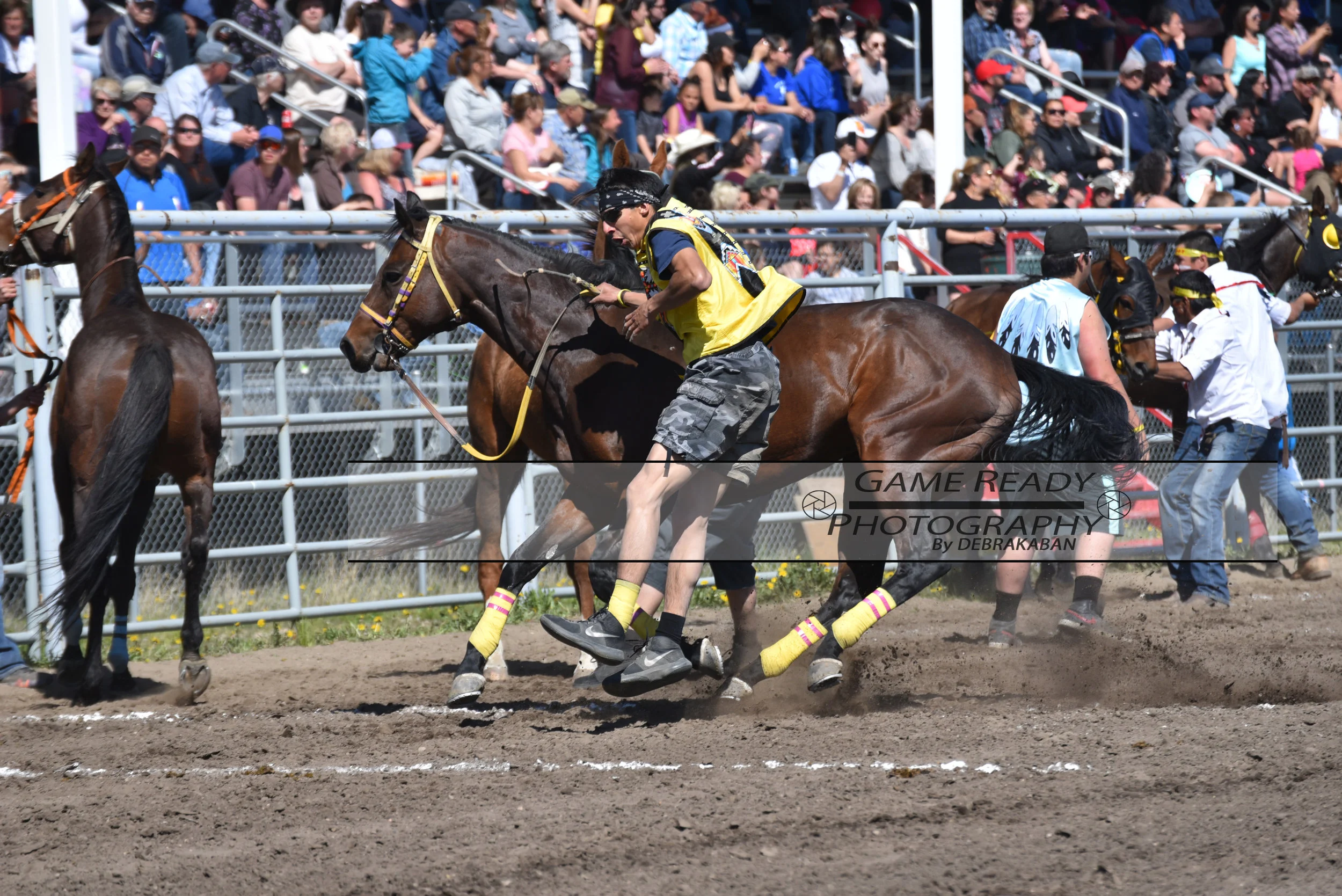 DSC_0987.jpg