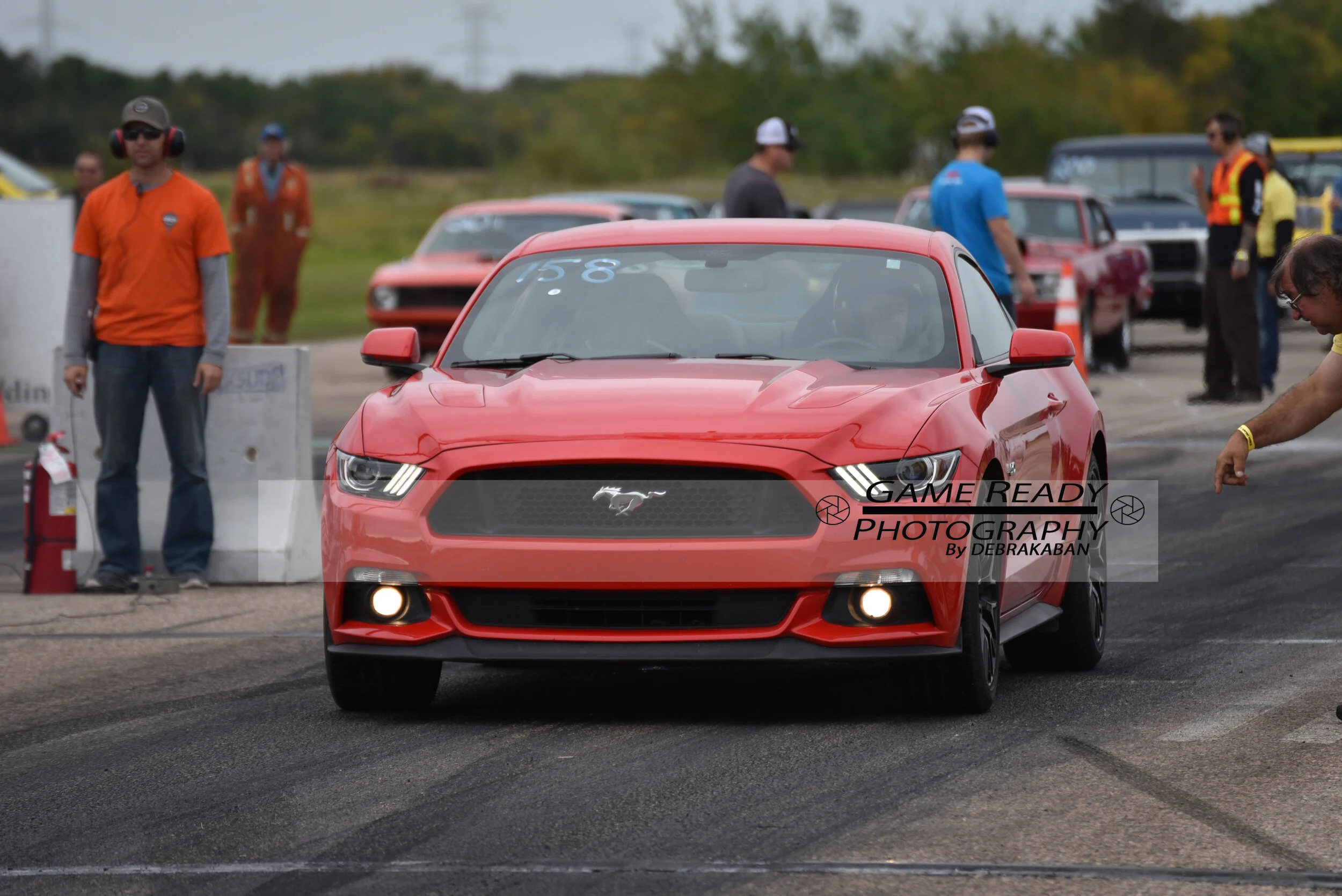 DSC_0343.jpg