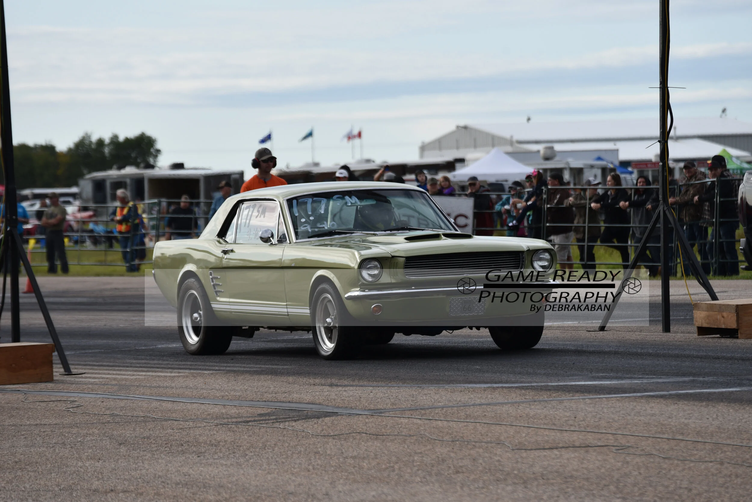 DSC_0081.jpg