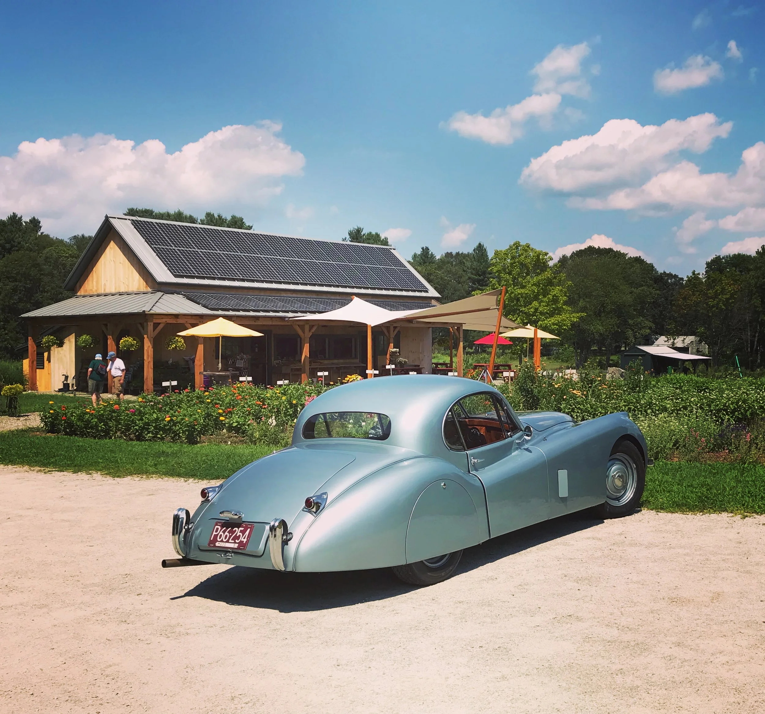 ‘51 Jaguar visits the market in the summer of 2018