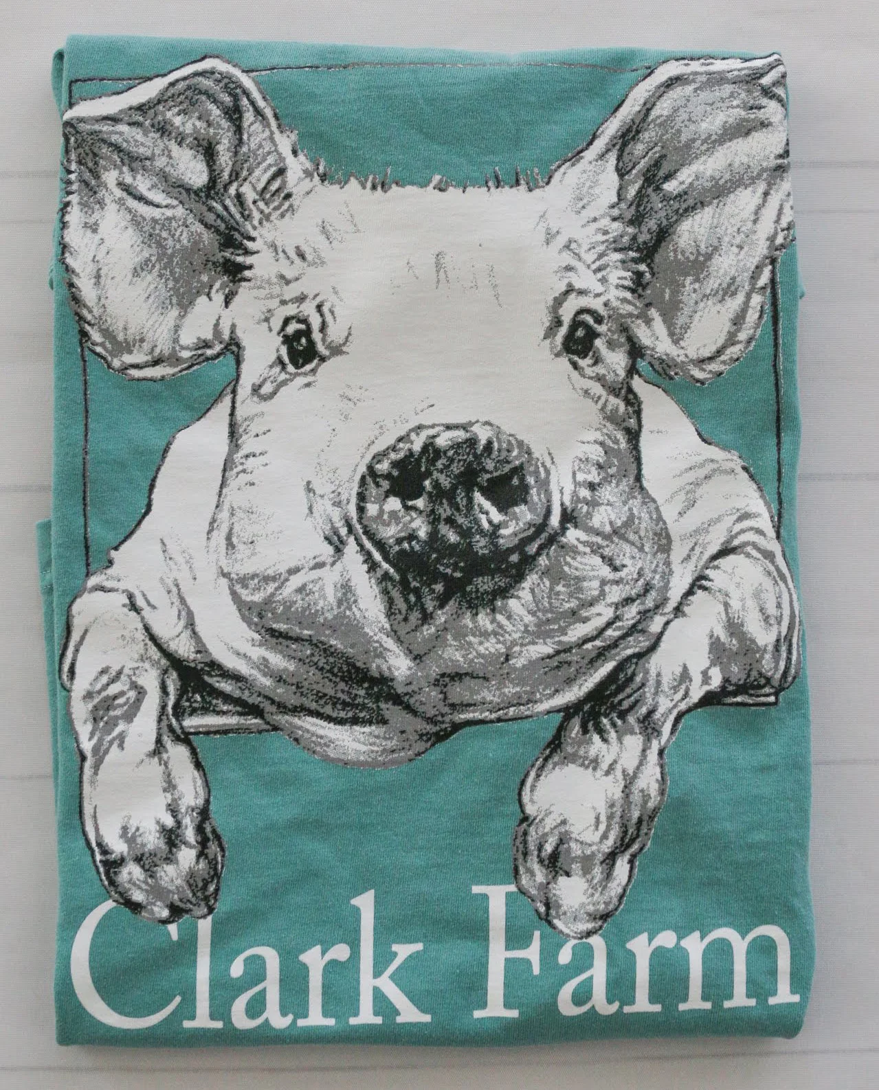 ClarkFarmMerchandise2019PigshirtSeafoamBck.jpg