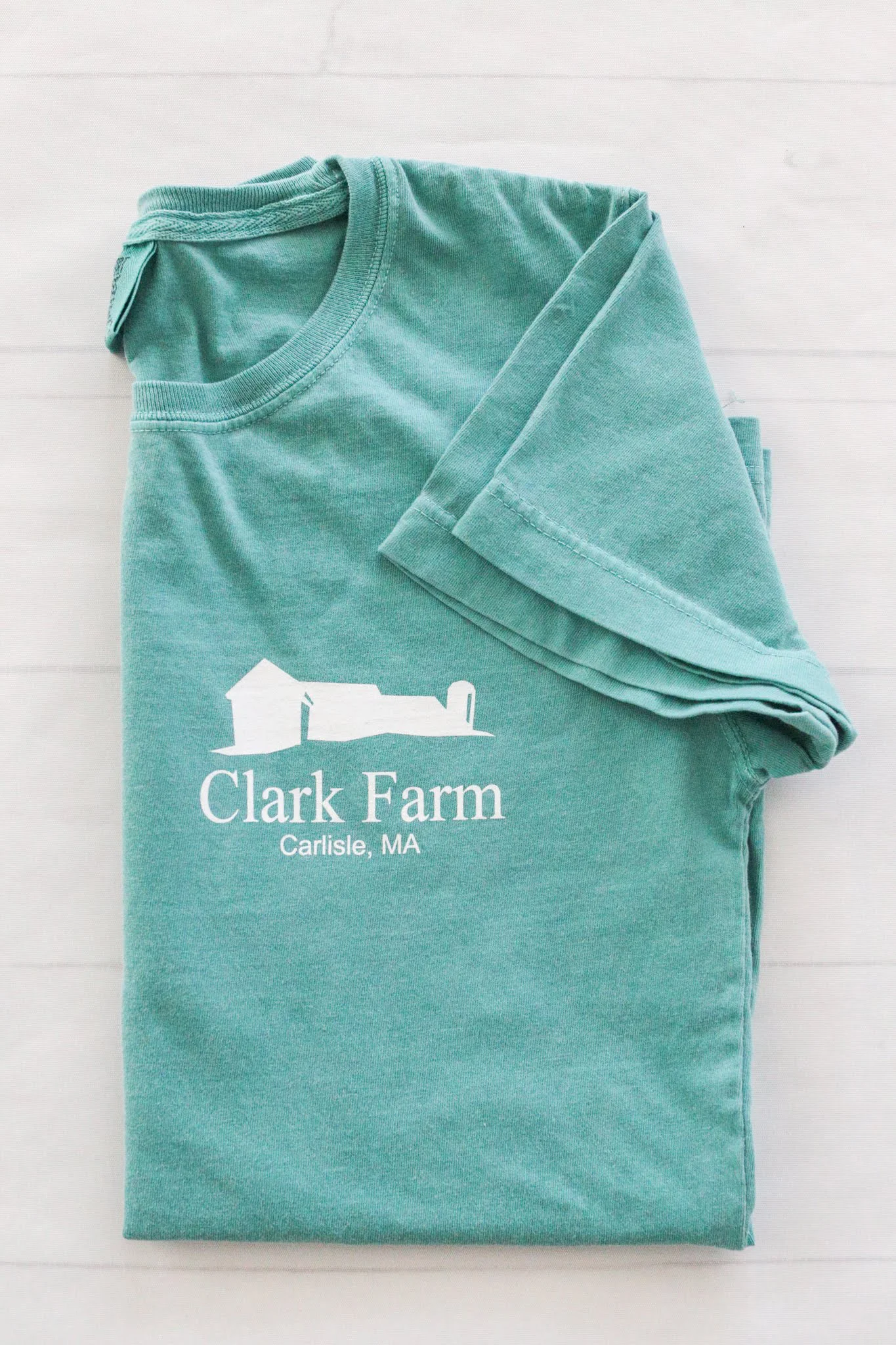 ClarkFarmMerchandise2019PigshirtSeafoamfrt.jpg