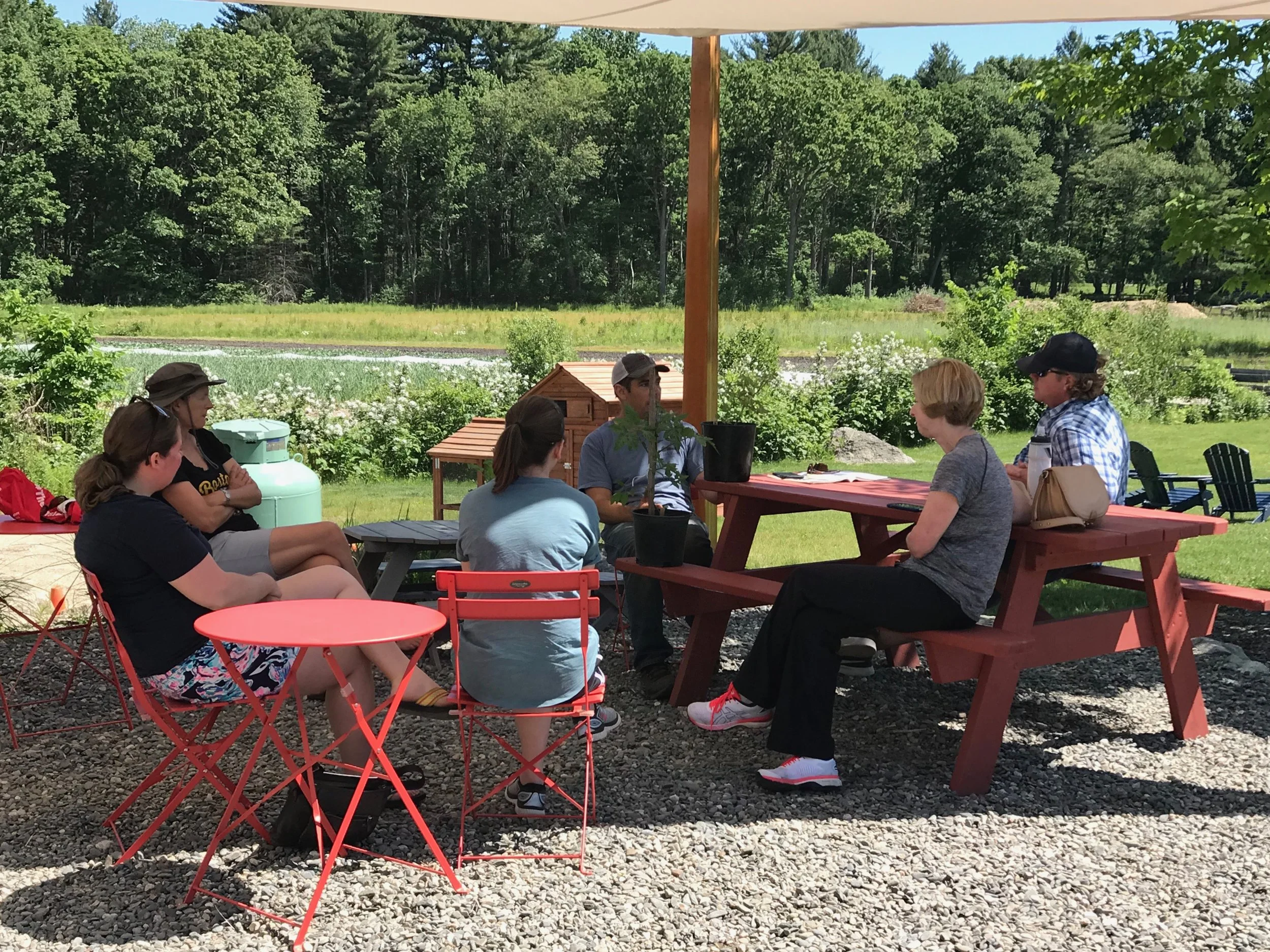 TOMATO WORKSHOP WITH ANDREW ROGERS