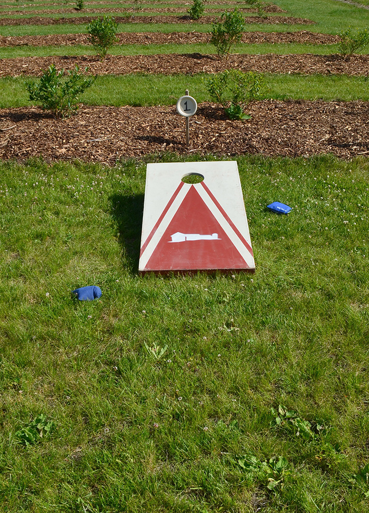1000DSC_0261CornholeBoard.jpg