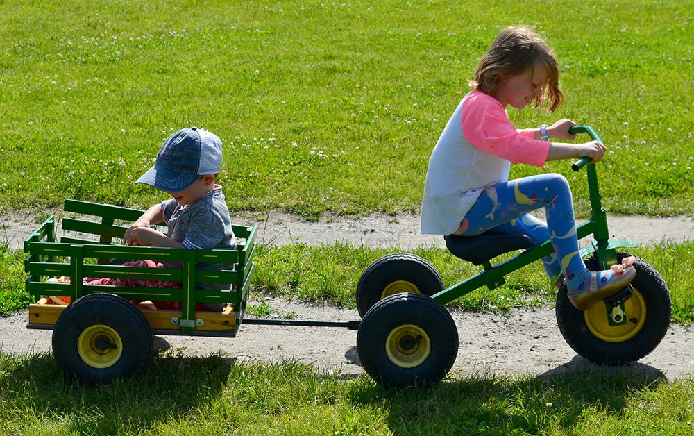 1000DSC_0263KidsonBikeWagon.jpg