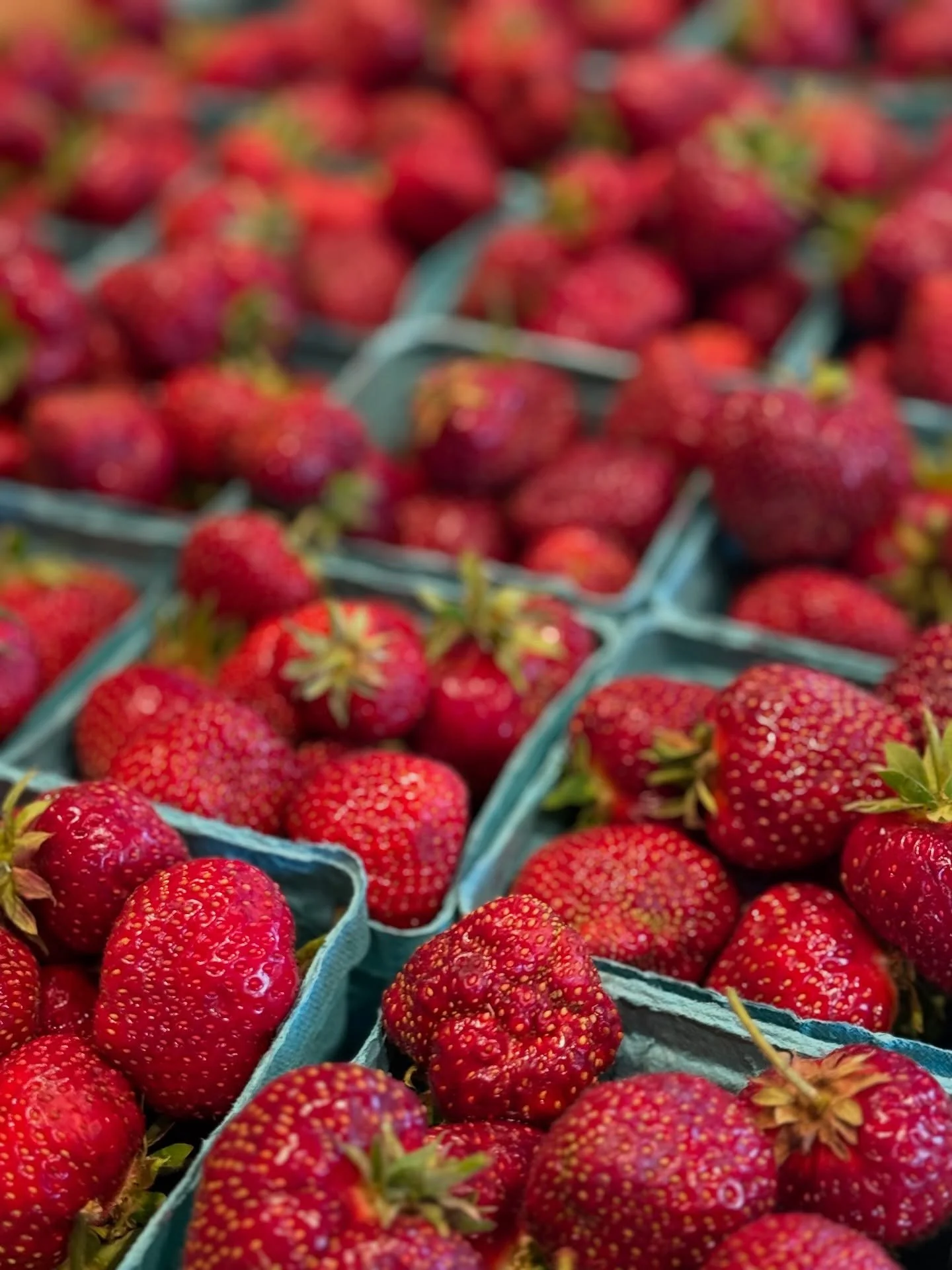 Join us all weekend as we celebrate STRAWBERRIES 🍓 because why not? School is out &amp; the forecast looks clear🤞🏼
.
Stop by to stock up on fresh, Real Organic @clarkfarmcarlisle strawberries, explore strawberry-inspired gifts, and treat yourself 