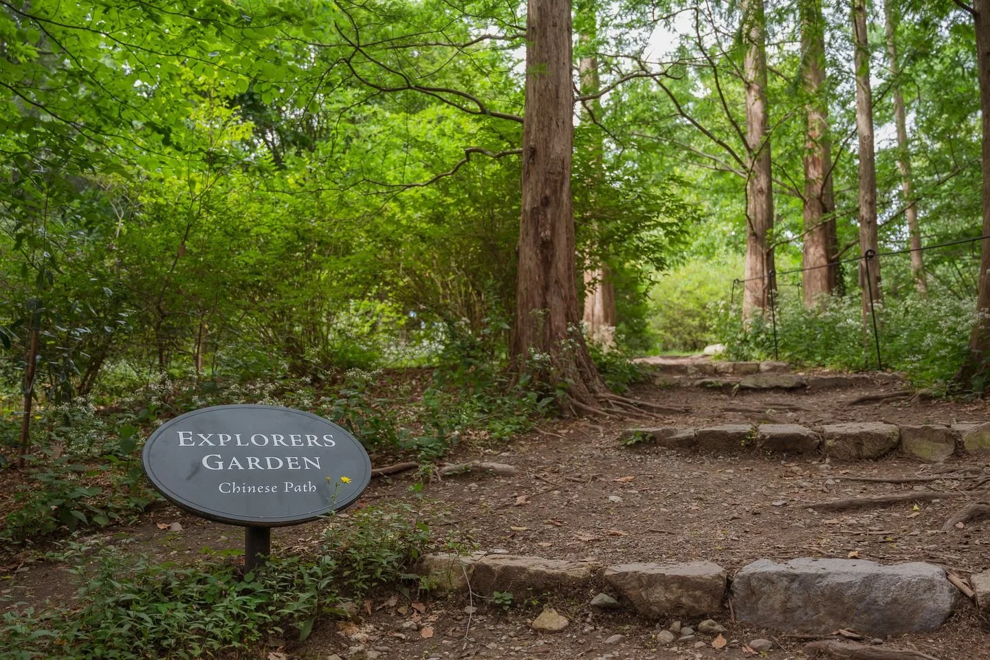 ART’s ‘The Arboretum Experience’ is the balm