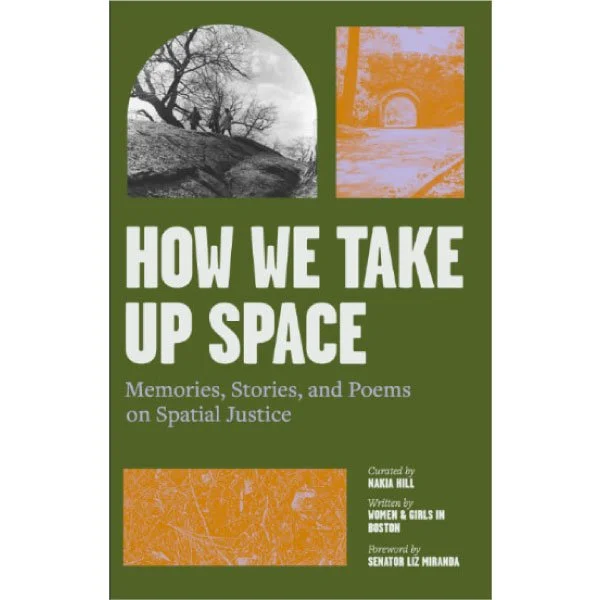 How We Take Up Space book cover