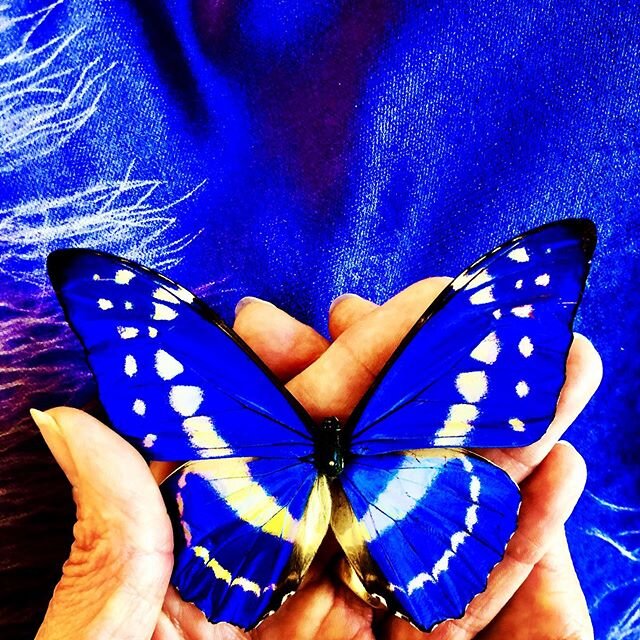 Hold this gift of time in your hands and transform your own life into its next beautiful stage🦋
Self- transformation is a metamorphosis that allows you to move from trying into simply being. Shed your old ways and emerge from this isolation committe