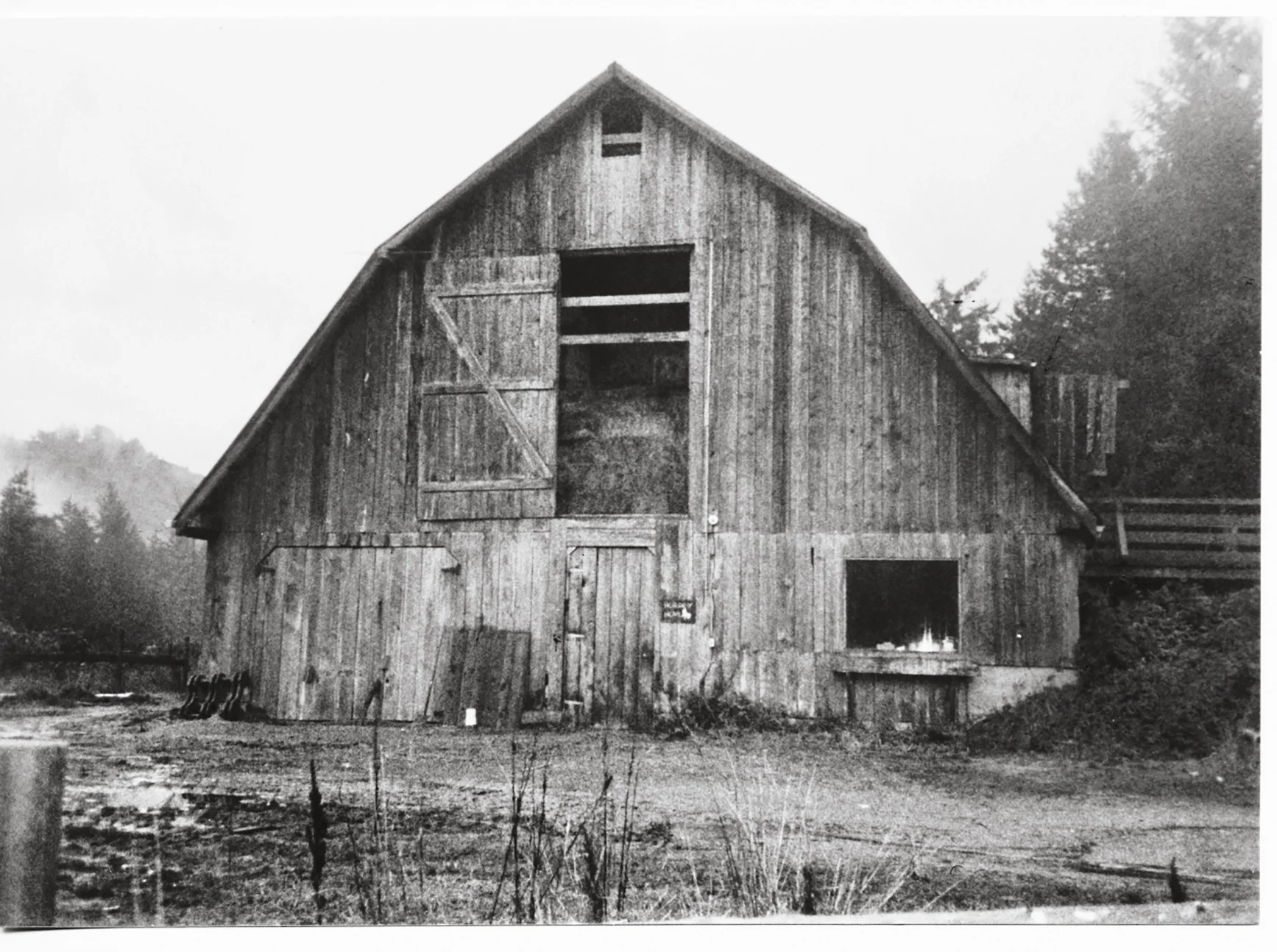 The barn stuffed full with hay.