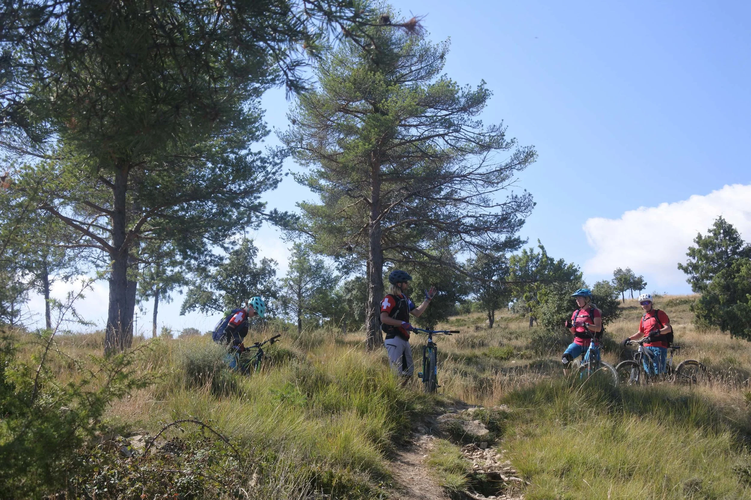 During the week we provide you with tips and tricks to improve you riding.