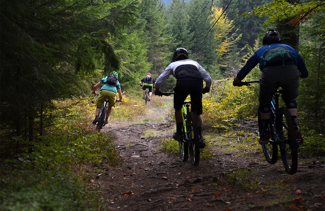 5 reasons why you should go and ride your mountain bike somewhere new.