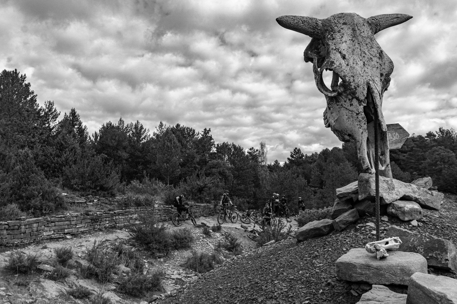 group bike rides near me