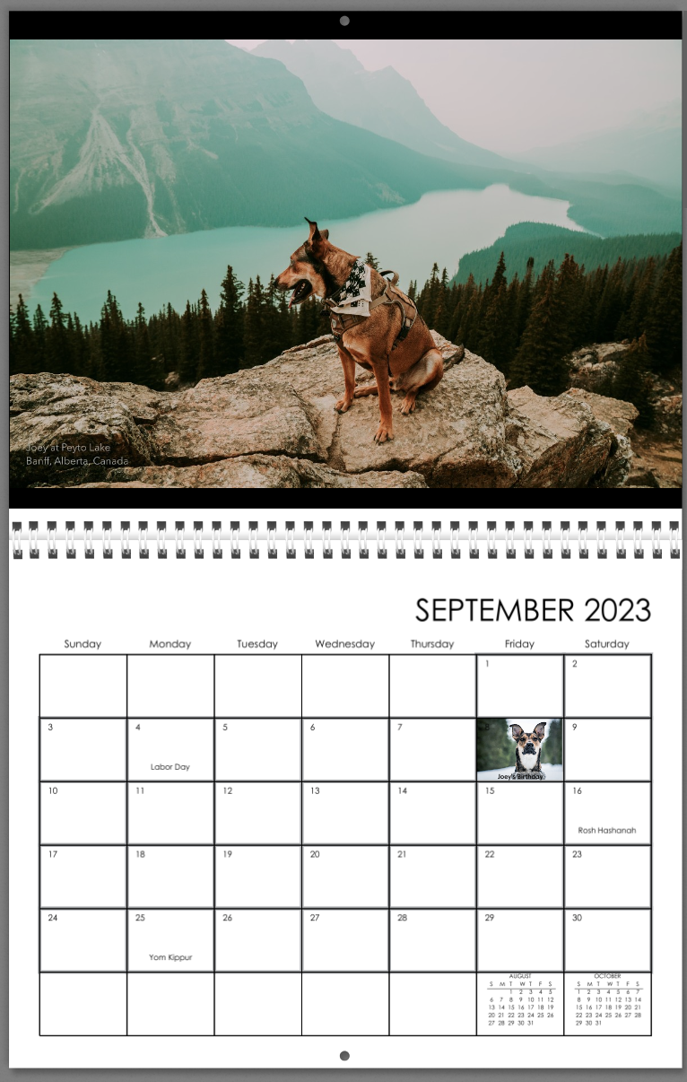 Screenshot 2022-11-30 at 12.07.19 AM.png