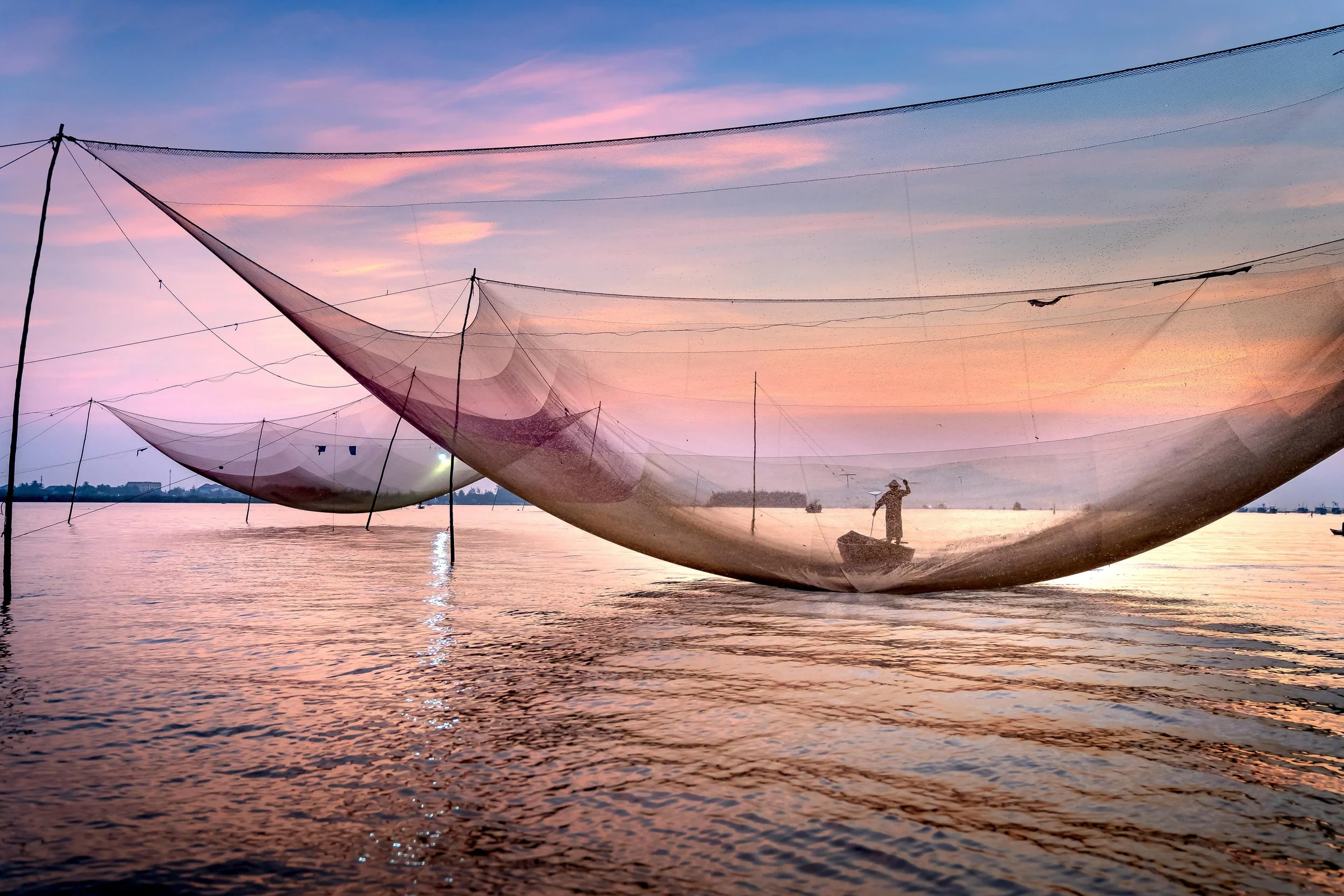 What Are Blue Foods?