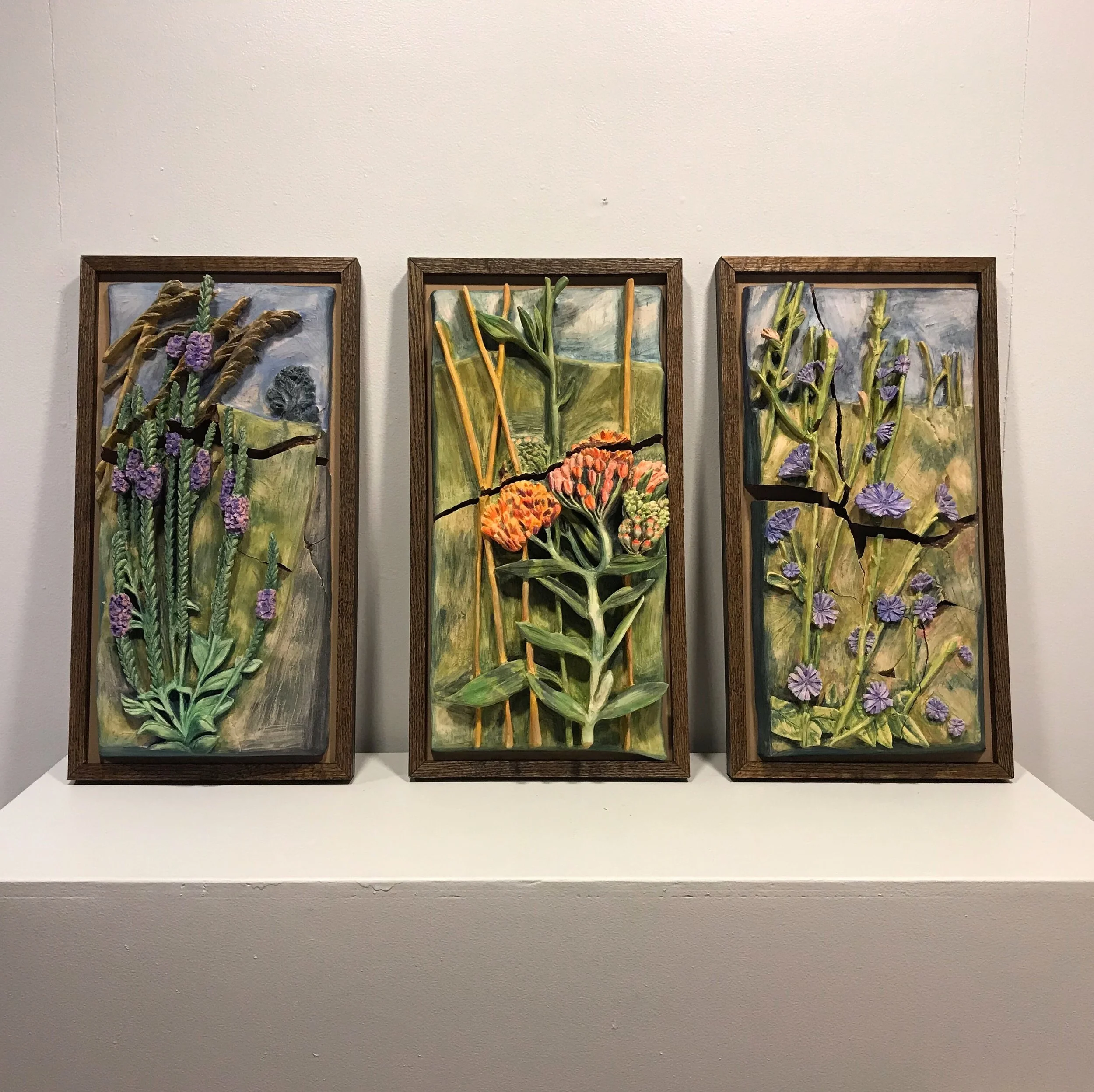 Blue Vervain/Butterfly Bush/Chicory