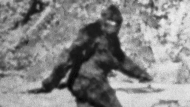 SC Bigfoot Festival