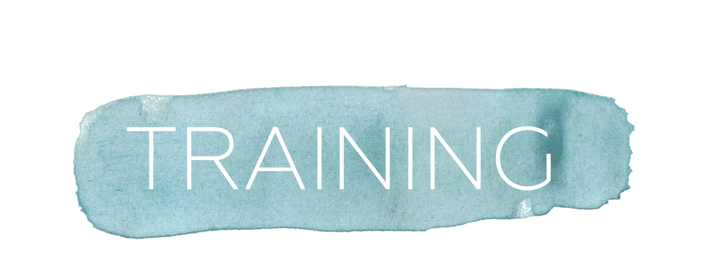 TRAINING.png