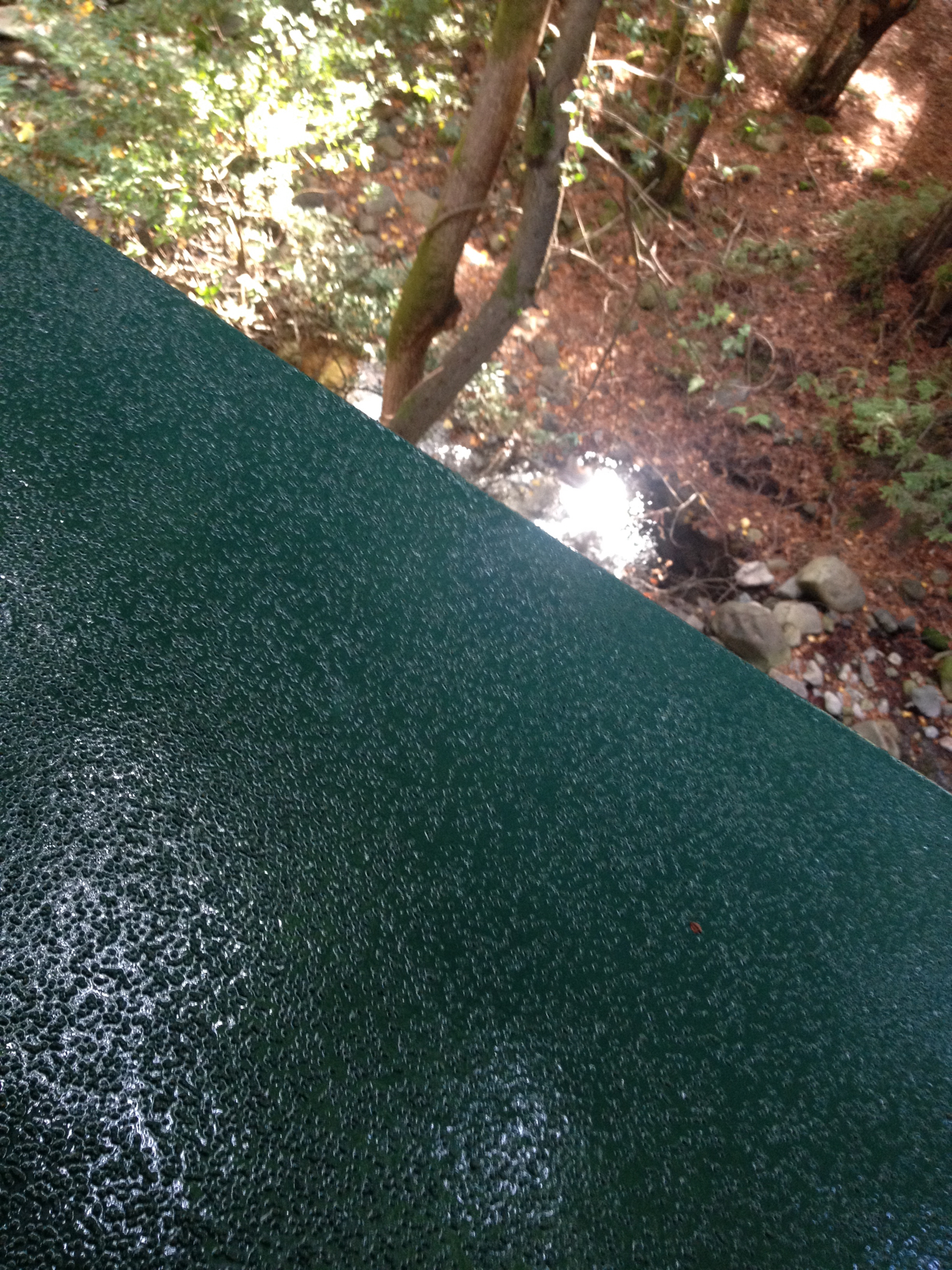 Pacific Polymers Elasto Deck 5001 in Forest Green - Santa Cruz, CA