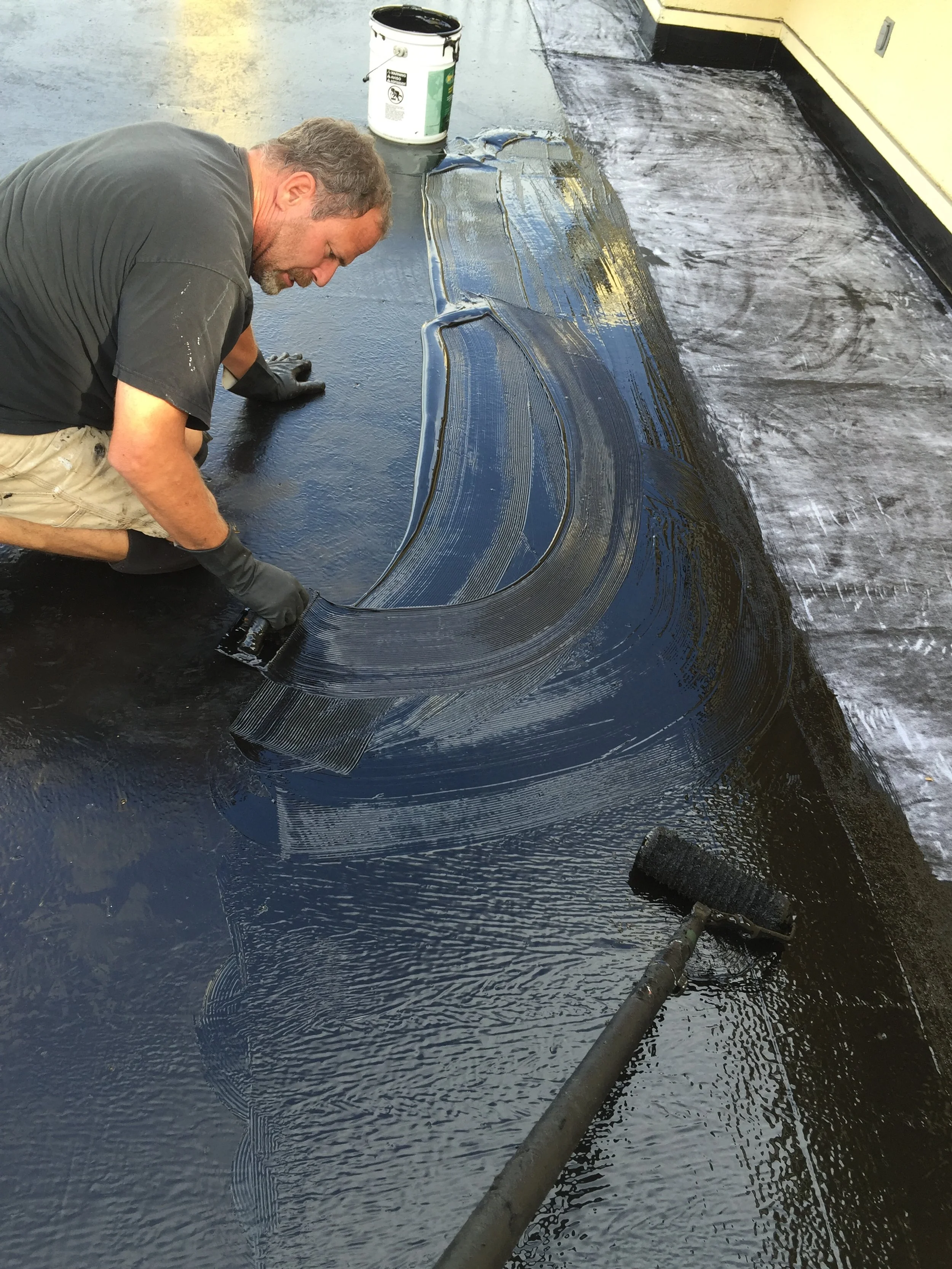 Dominick Pac Poly.JPG