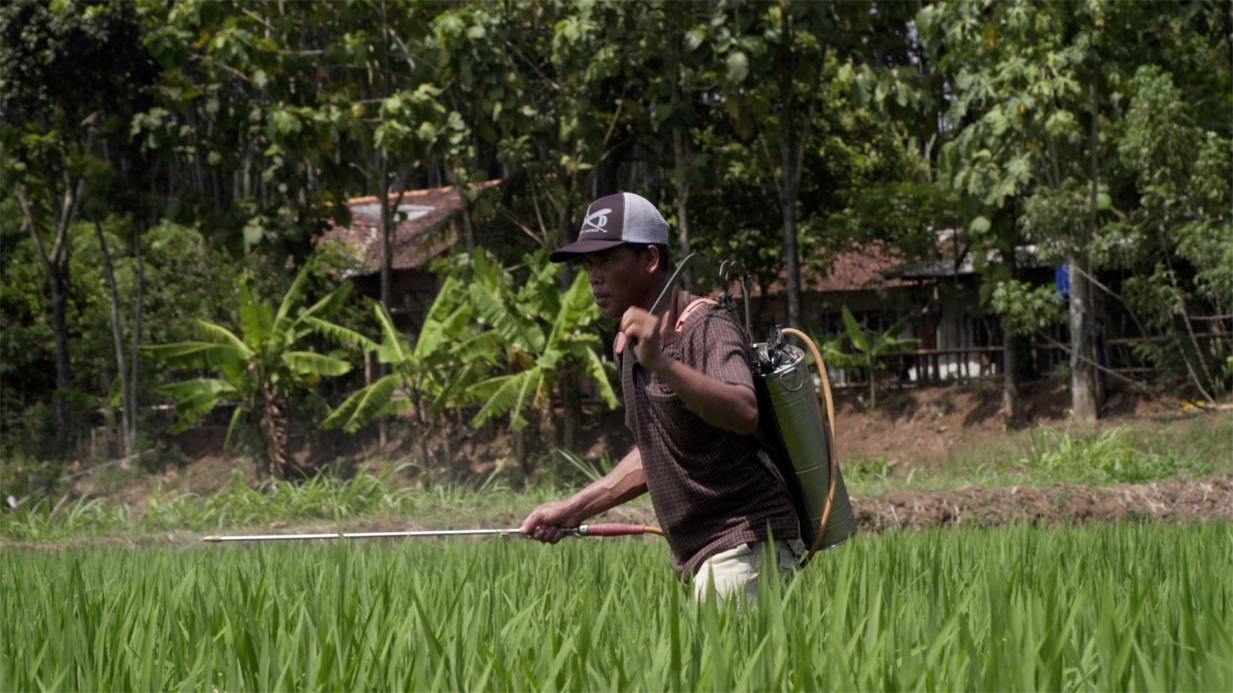 Indonesia.jpg