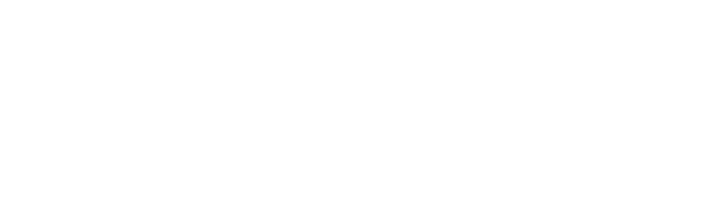 PRMGLogo-01[White].png
