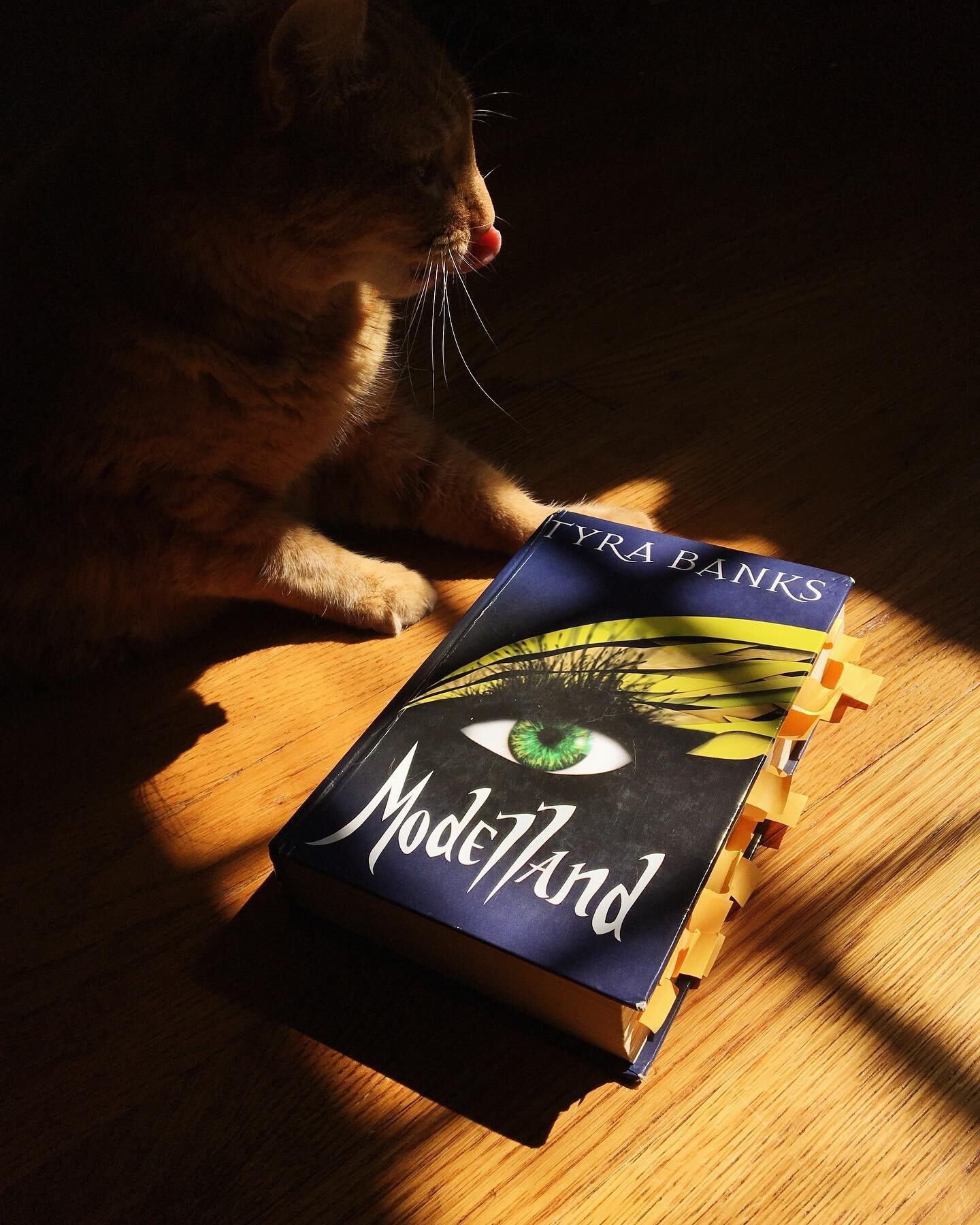 👁 IT&rsquo;S HERE 👁 
This week we bring you an exhaustive breakdown of MODELLAND by Tyra Banks. Published in 2011, never granted a paperback publication, this out of print tome of magical modeling is a little bit difficult to get your hands on. We&