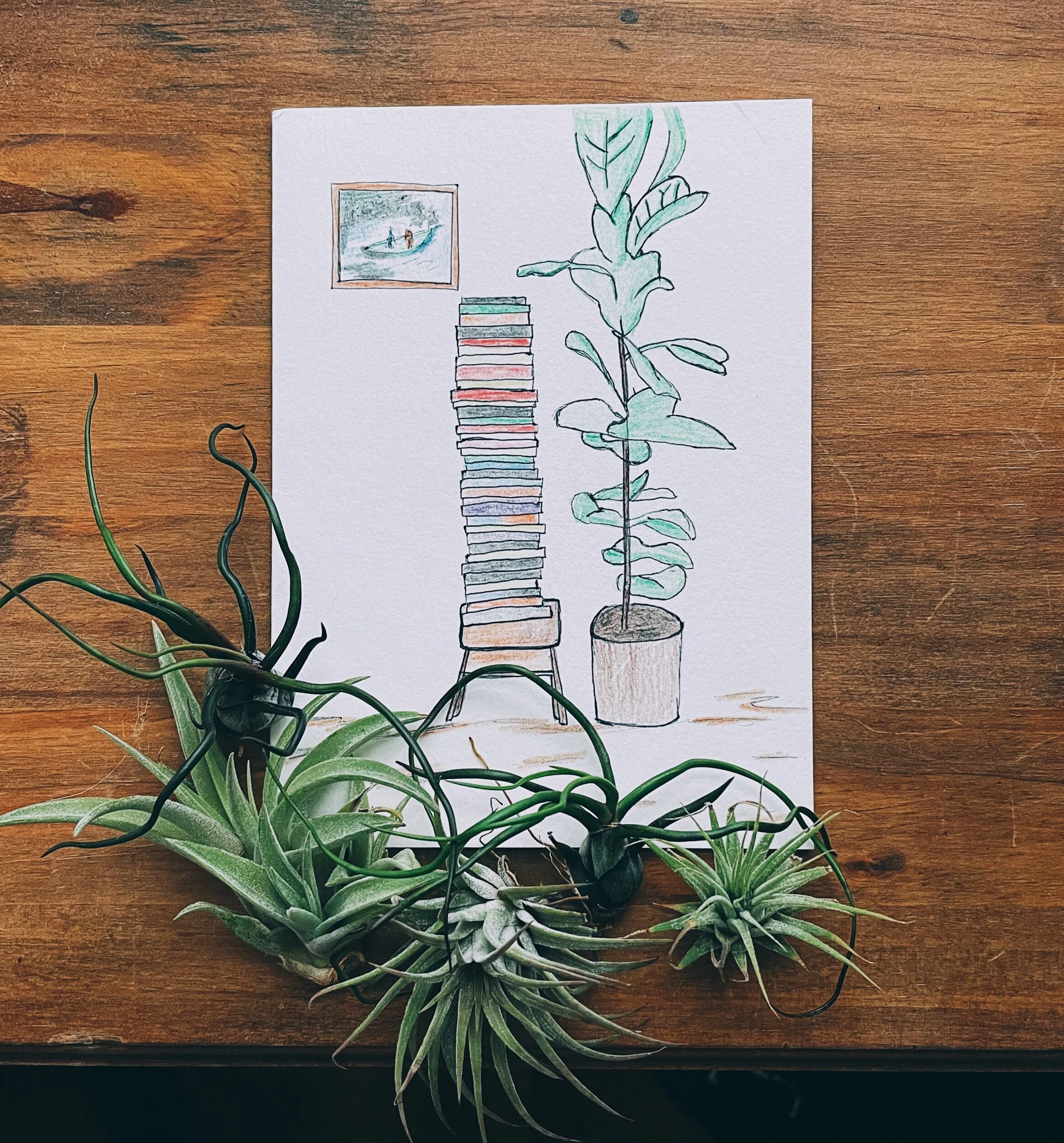 85.5 - 2020 Gift Guide