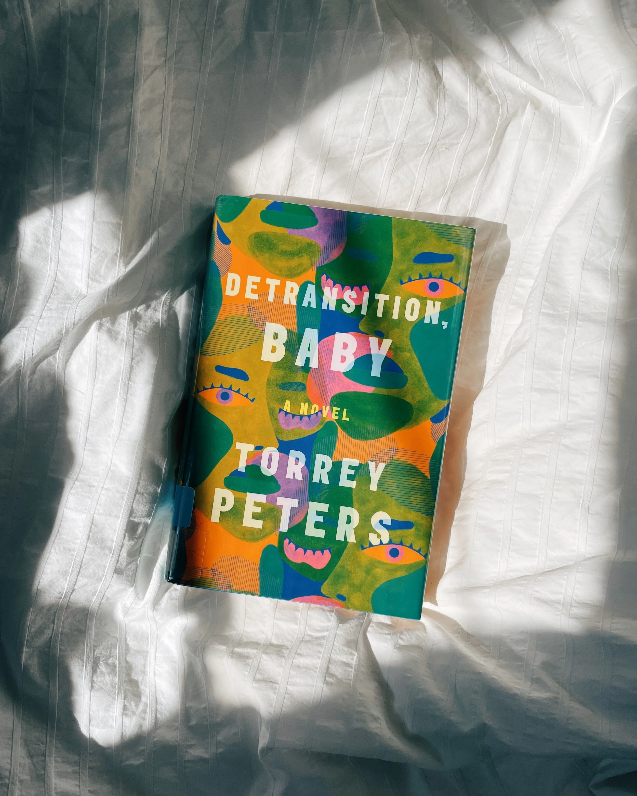 108 - Detransition, Baby by Torrey Peters