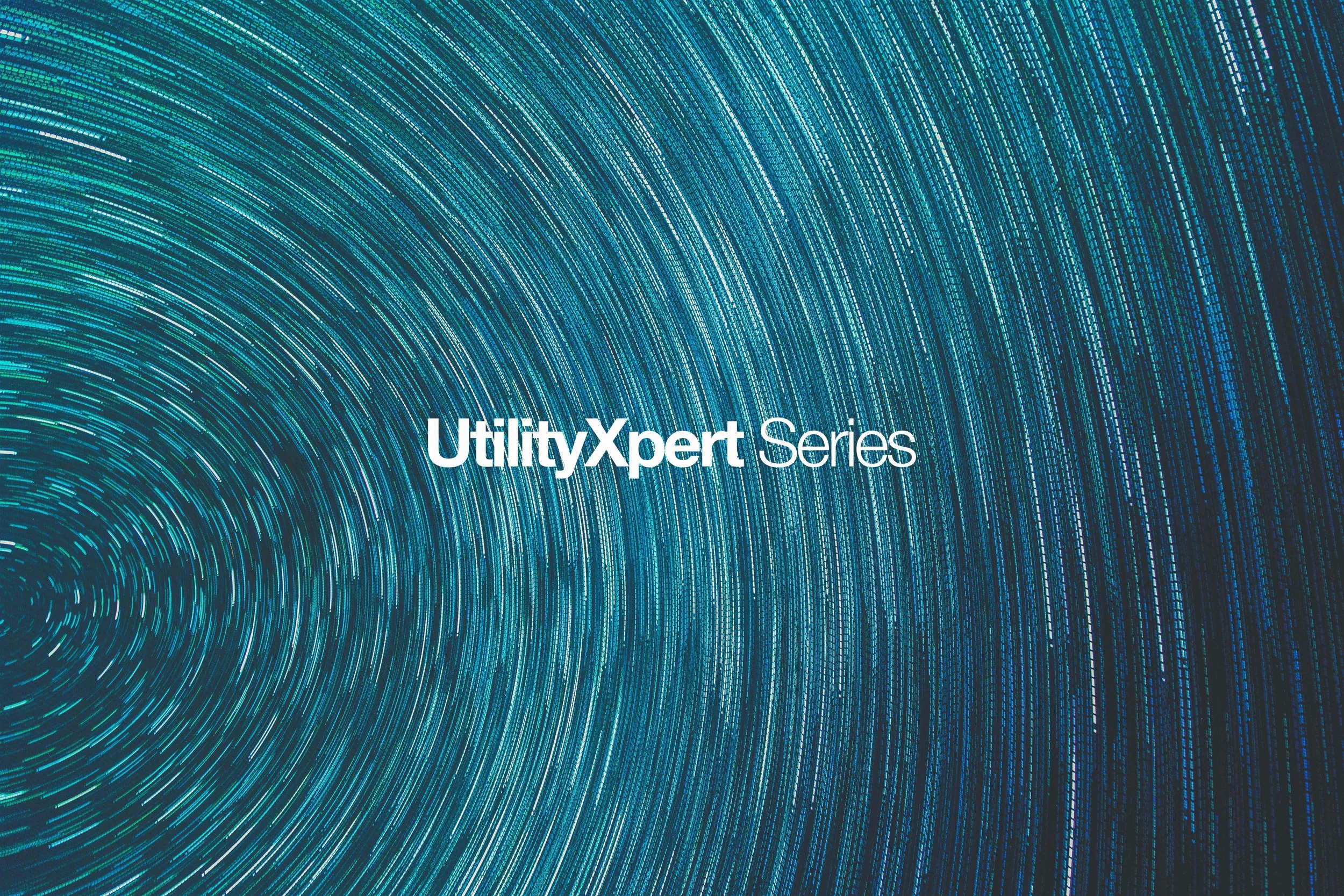 The UtilityXpert Series, II — Sustainable Energy Efficiency   Program Implementation 