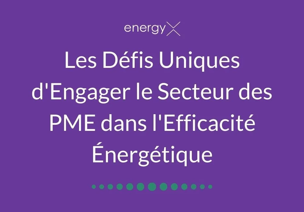 Les+Défis+Uniques+d'Engager+le+Secteur+des+PME+dans+l'Efficacité+Énergétique.jpeg