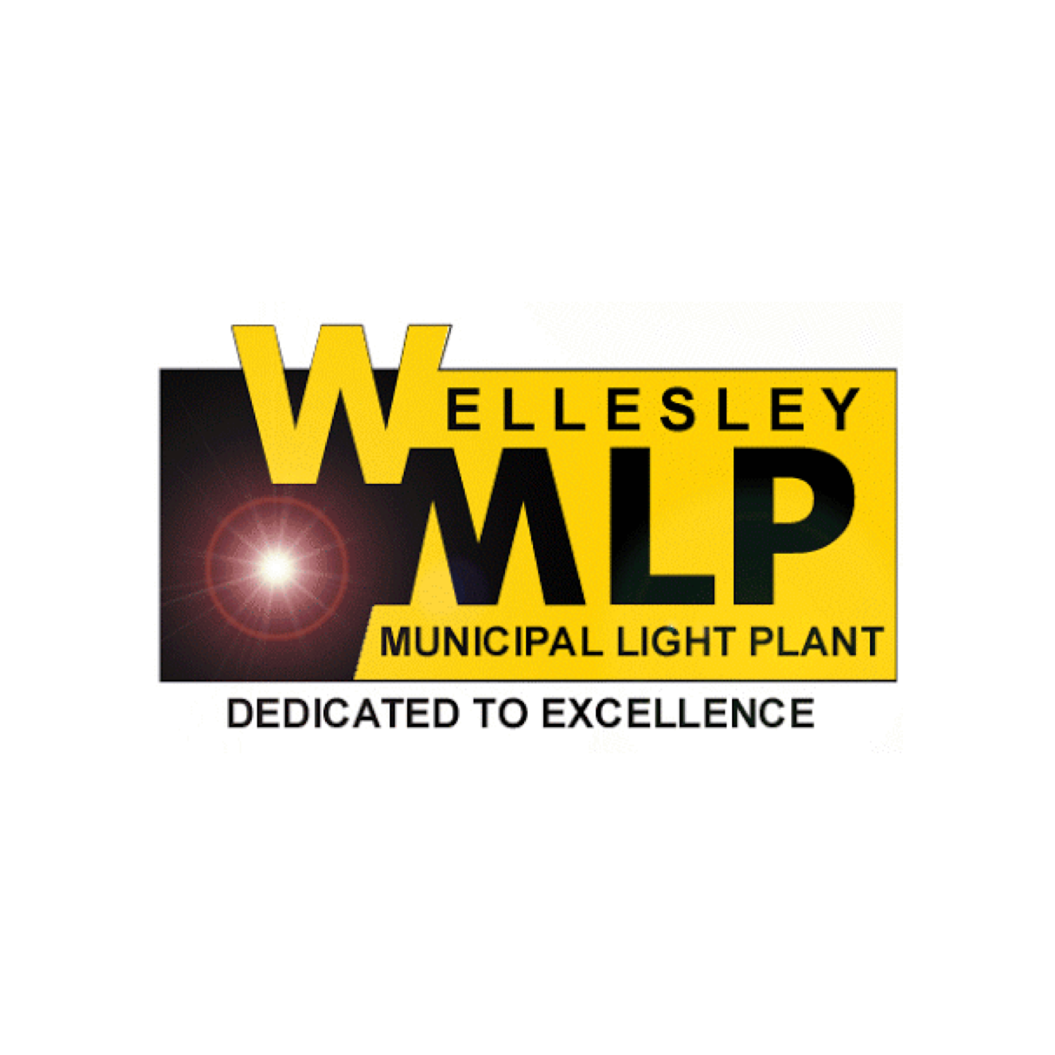 wellesley_mlp_logo.png