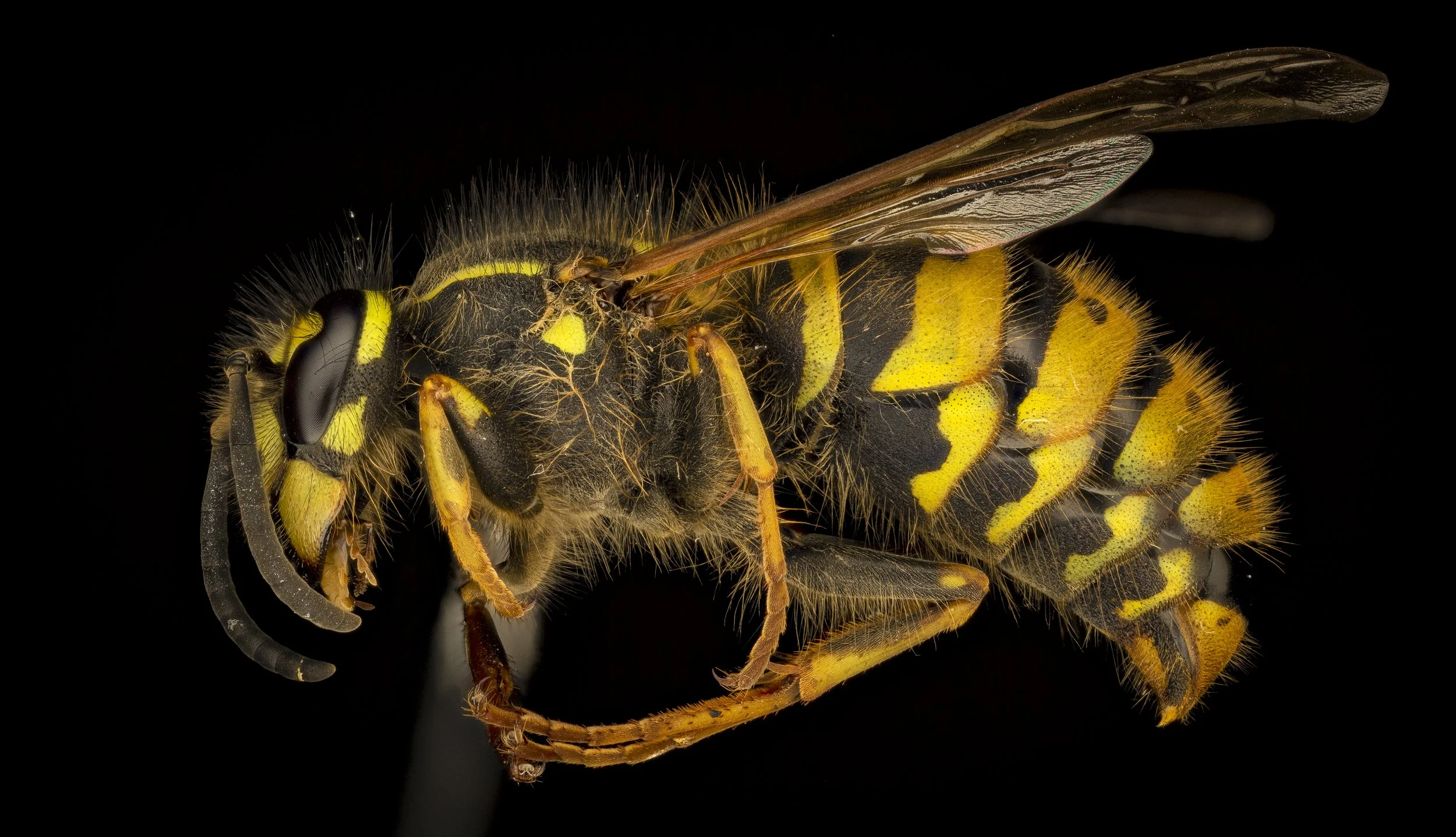 2020-11-02-21.07.22 ZS PMax.jpg