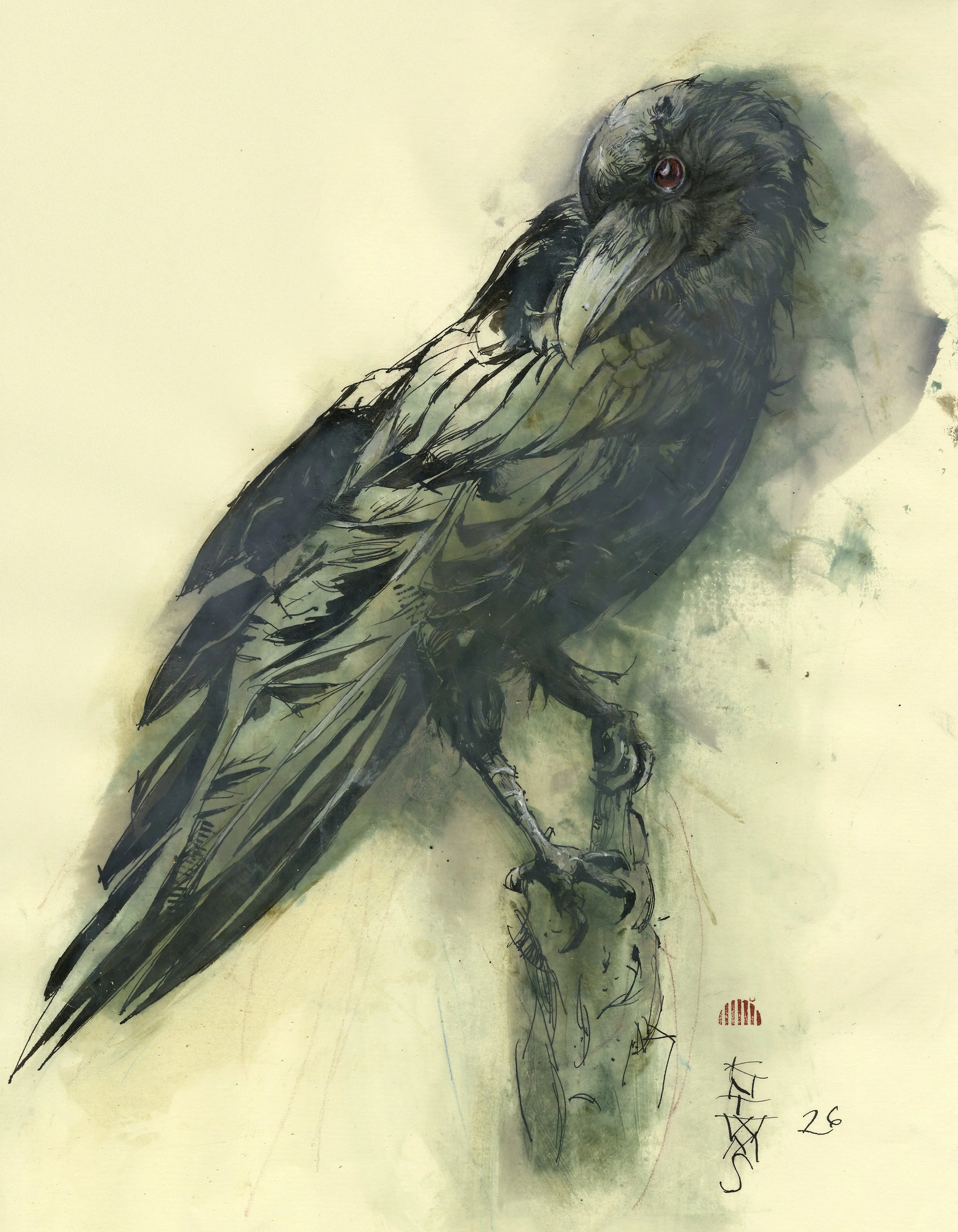 CORVUS 23