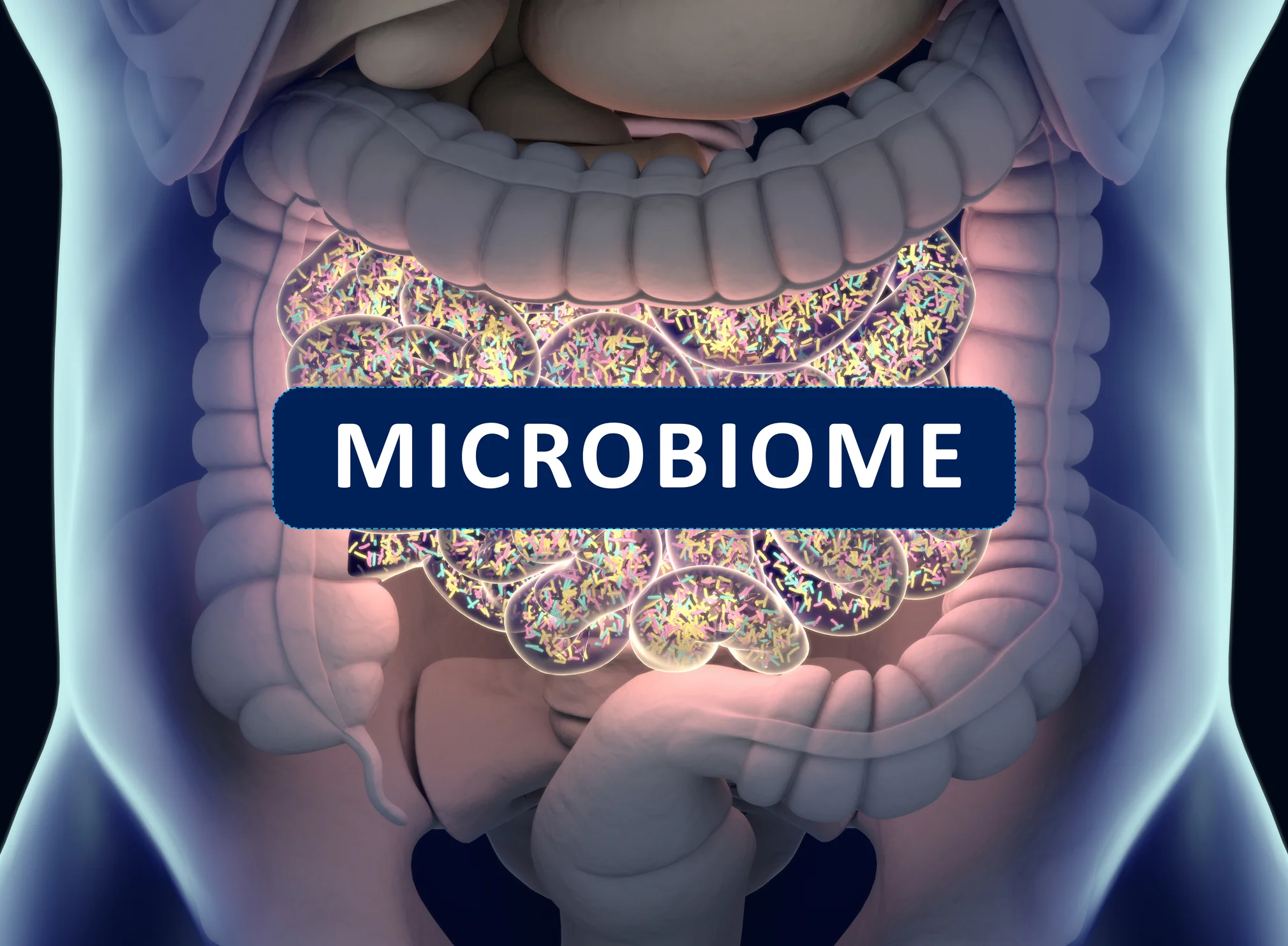 How To Improve Your Gut Microbiome