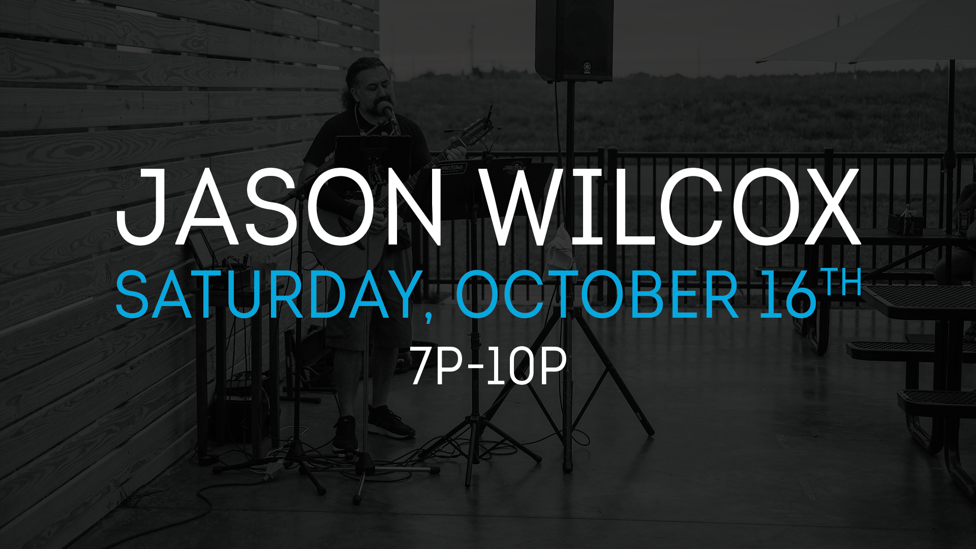 Live Music // Jason Wilcox