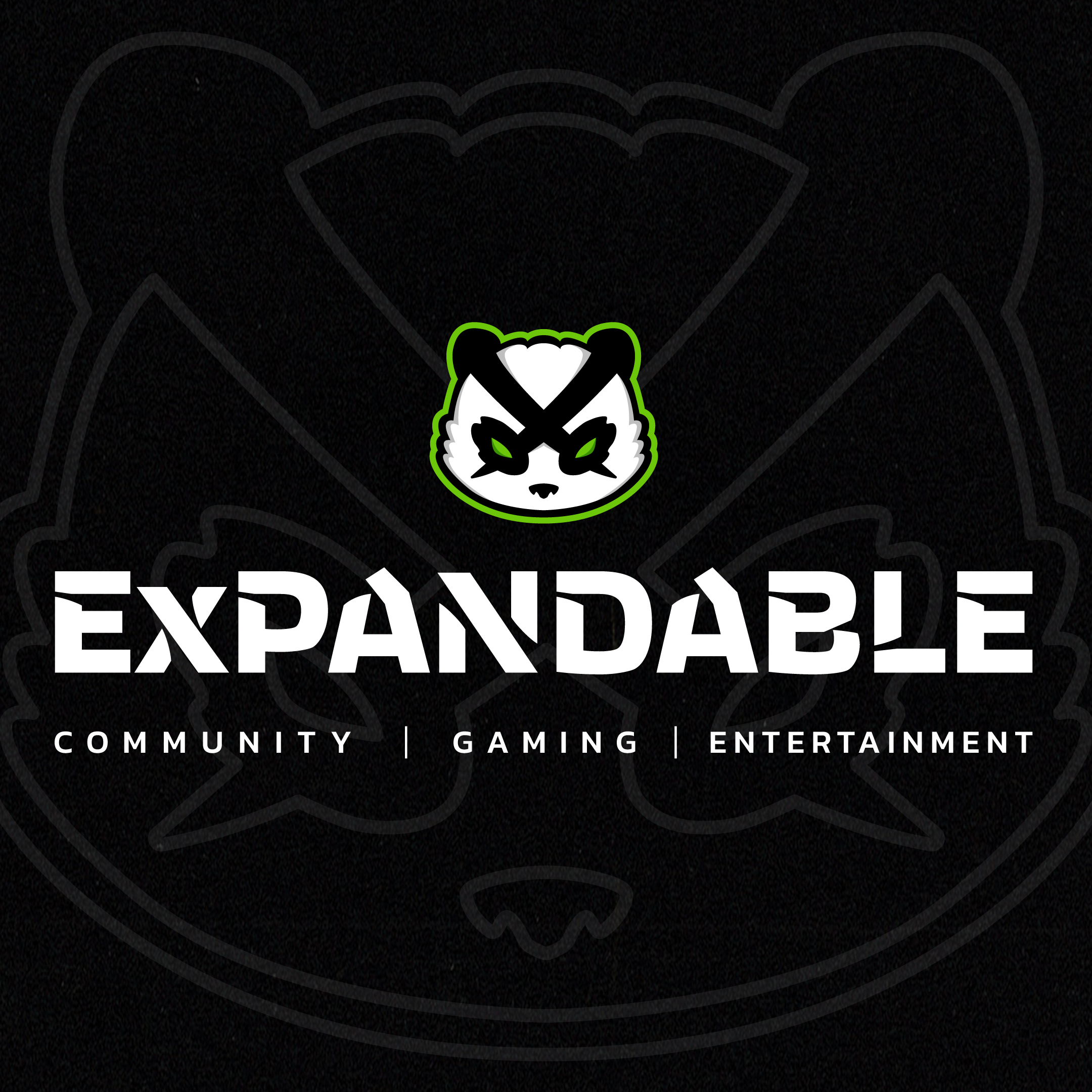 EXPANDABLE ESPORTS   //   CONTENT CREATION  (Copy)
