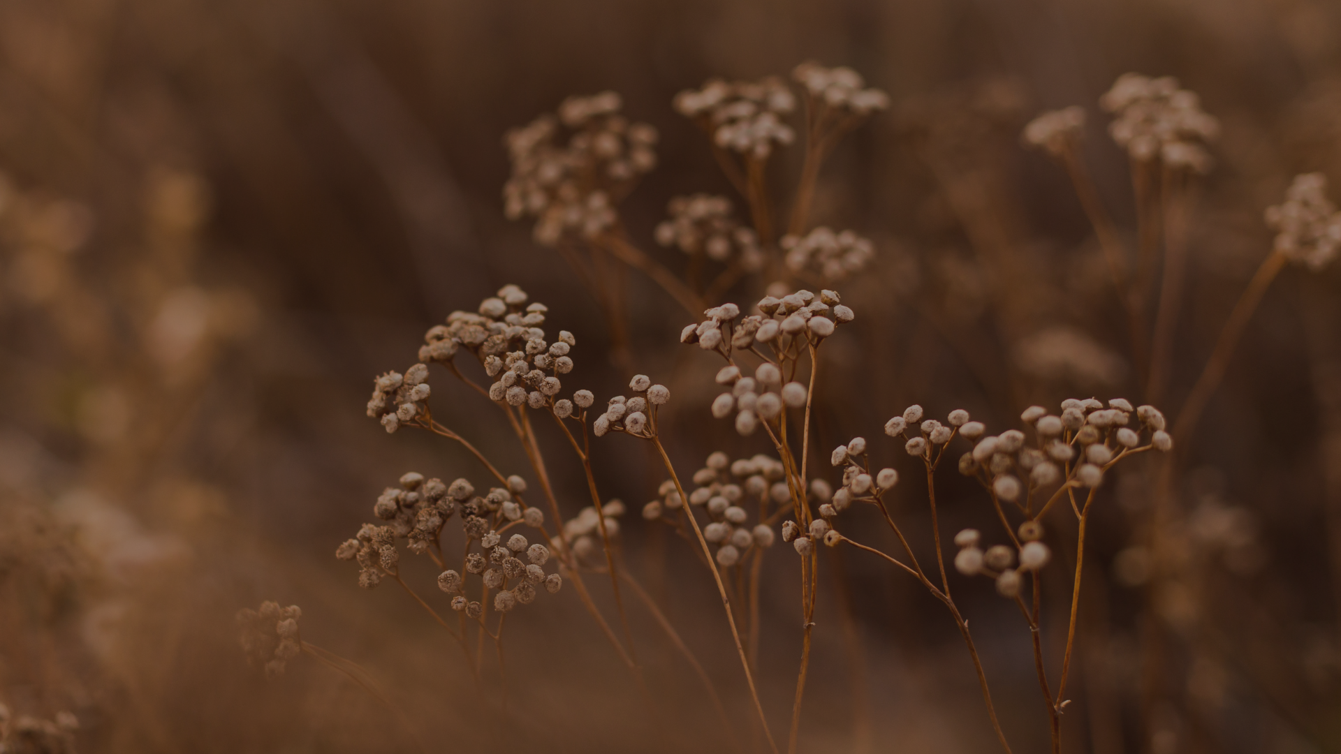 REAL COVER FOR BBB.png