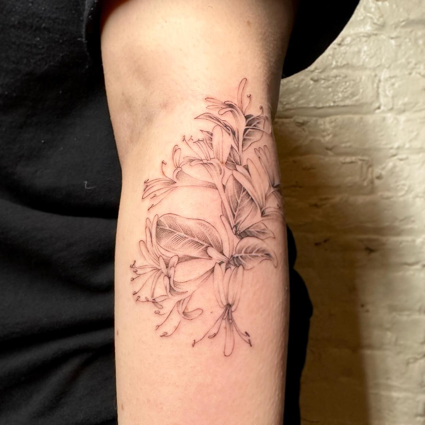 Honey suckle &mdash; who grew up with these? 

In Portland, OR they&rsquo;re in every neighborhood. A sweet flower for the kids to enjoy. 
🌿🌿🌿
&hellip;
&hellip;
&hellip;
&hellip;
&hellip;
&hellip;
#blackandgreytattoo #fineline #dotwork #singleneed