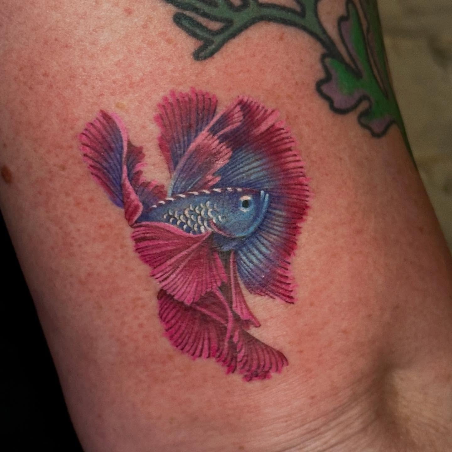 Vibrant betta fish ✨ Loved working with these bold colors to bring this piece to life! Did you know that wild bettas are actually dull in color? The bright, flowing fins we see in pet bettas are a result of selective breeding over generations.
🐠🐠🐠