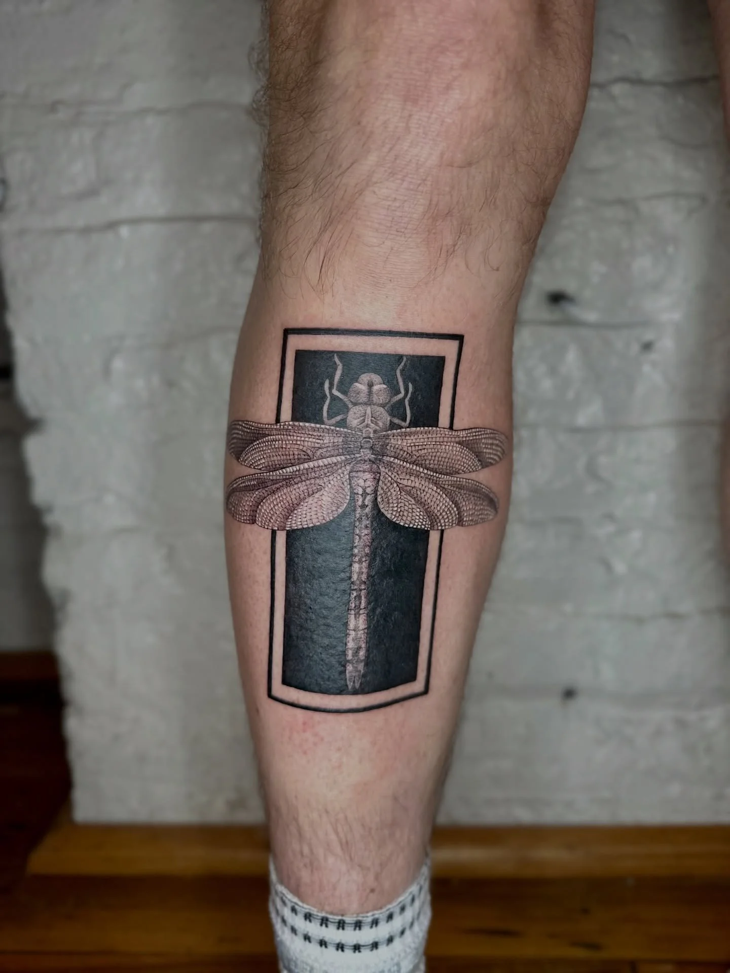 A framed dragonfly.

#finelinetattoos #dragonflytattoo #geometrictattoo #emilymaytattoos #evergreenstudioschicago