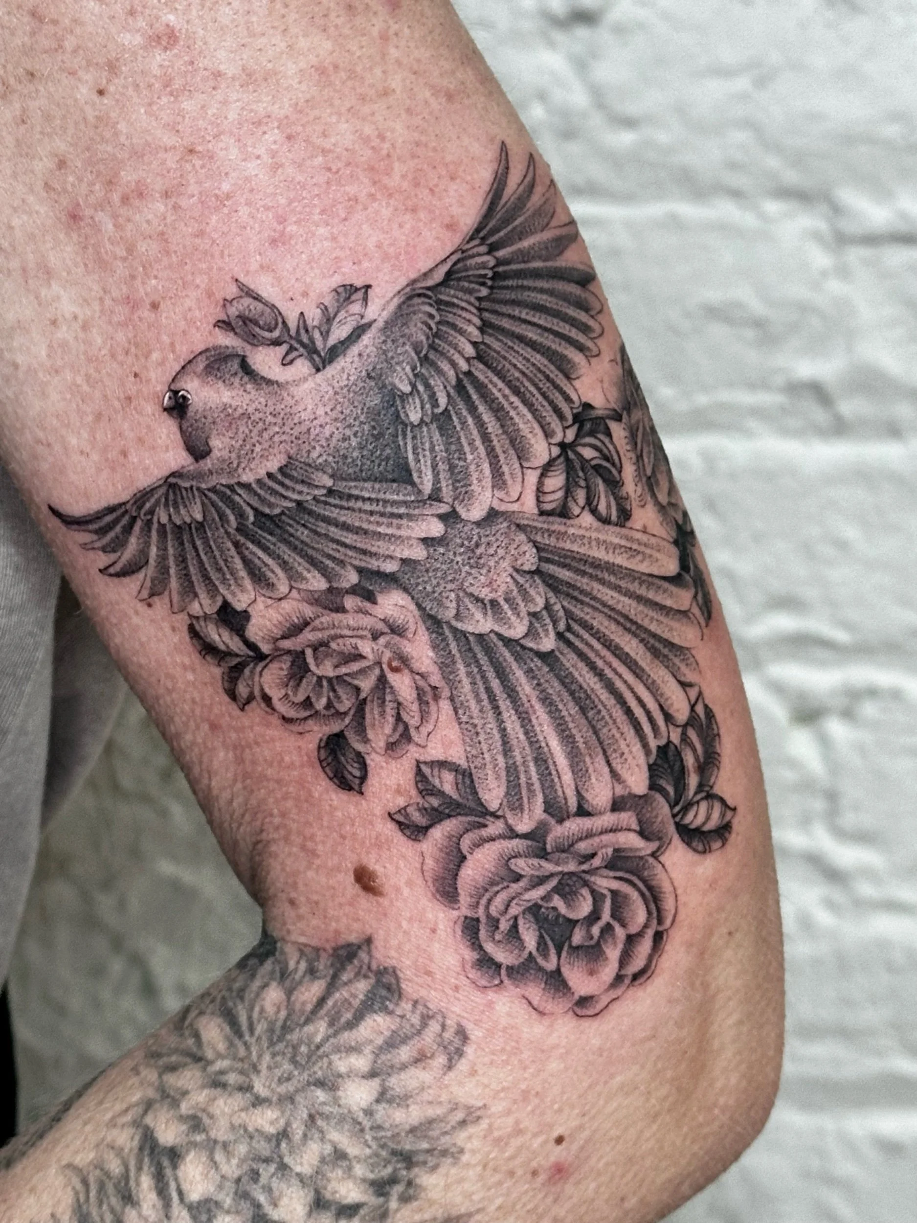 Fine Line Cardinal and Rose Memorial Tattoo