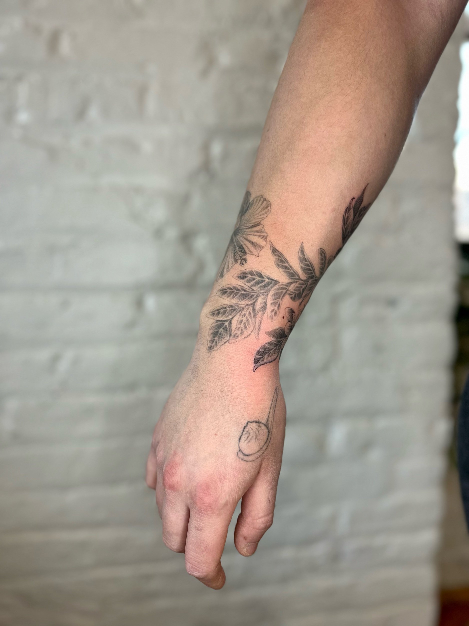 Healed Curry Leaf Tattoo – 1 Year 2 Months